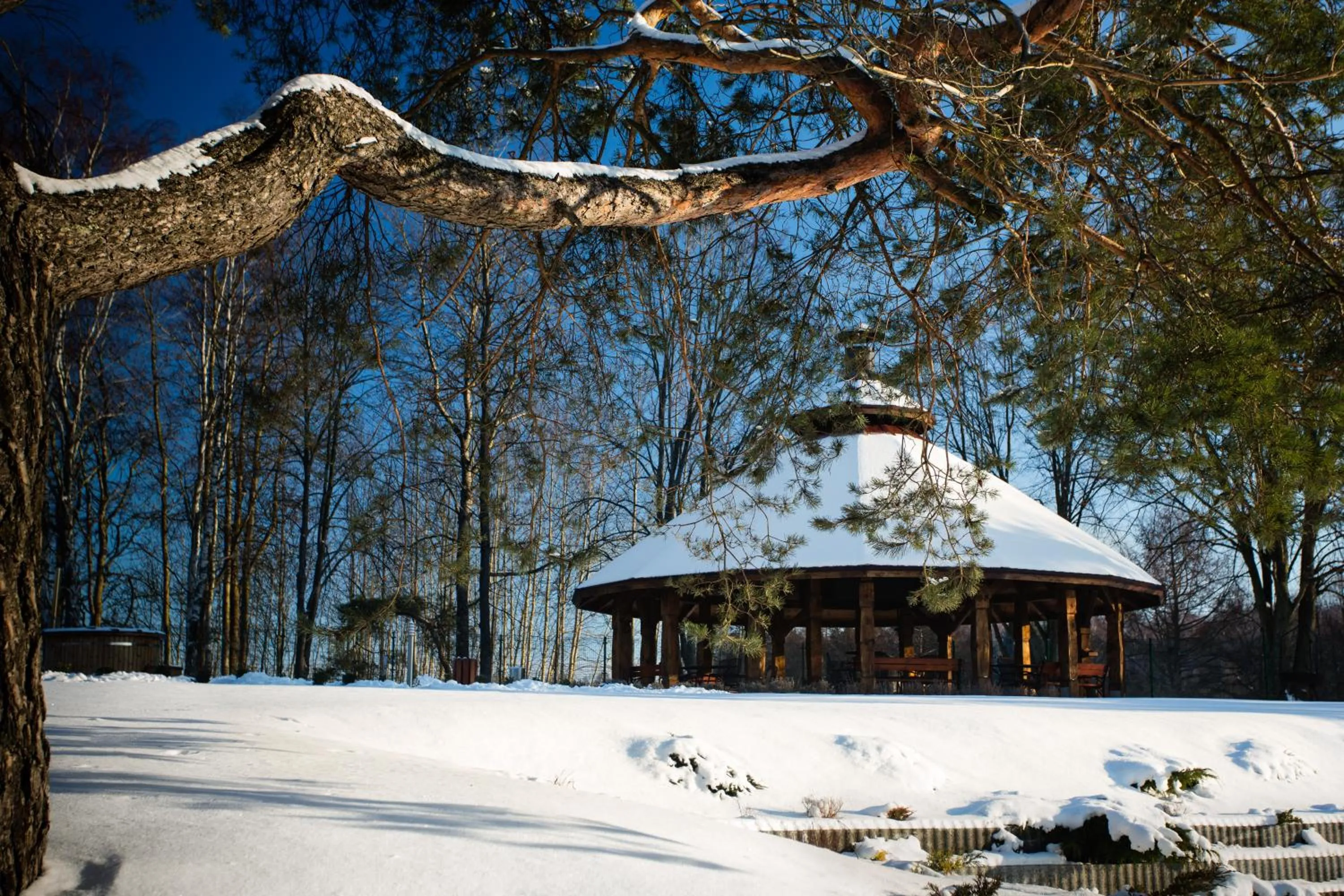 BBQ facilities in Hotel Ventus Natural & Medical Spa