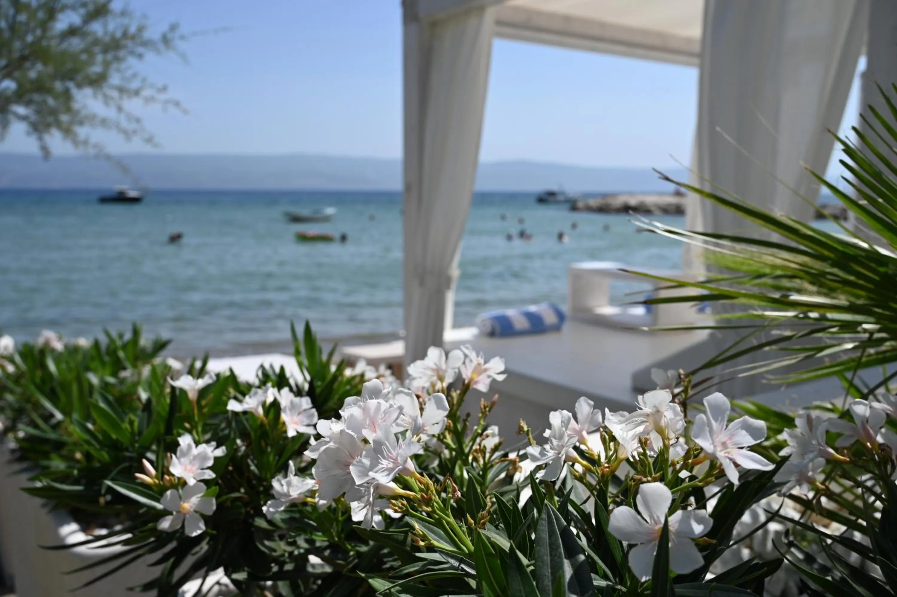 Beach in Damianii Luxury Boutique Hotel & Spa