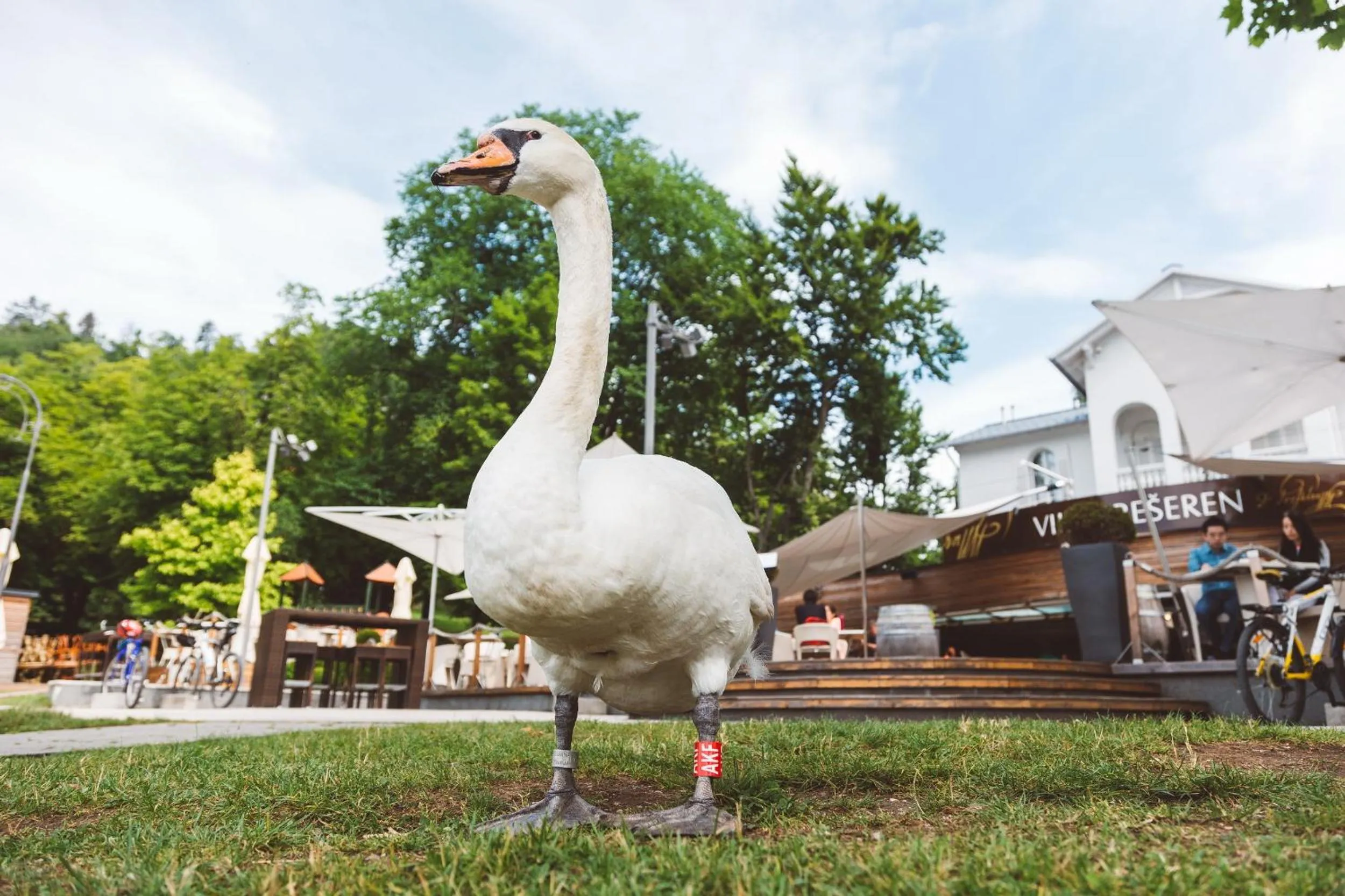 Off site in Penzion Vila Prešeren