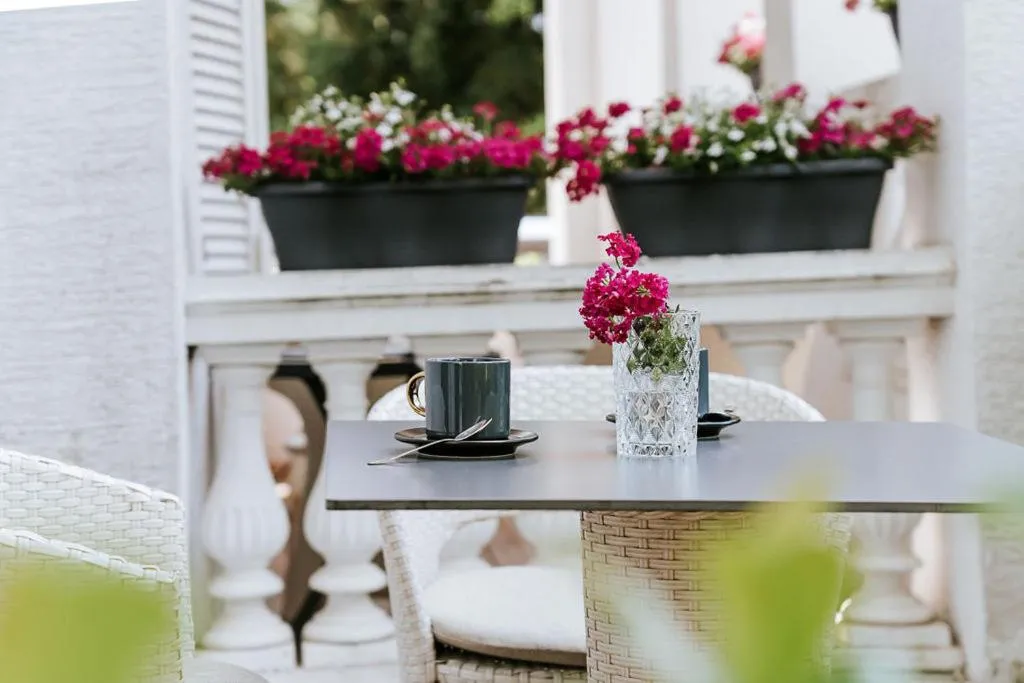 Balcony/Terrace in Penzion Vila Prešeren