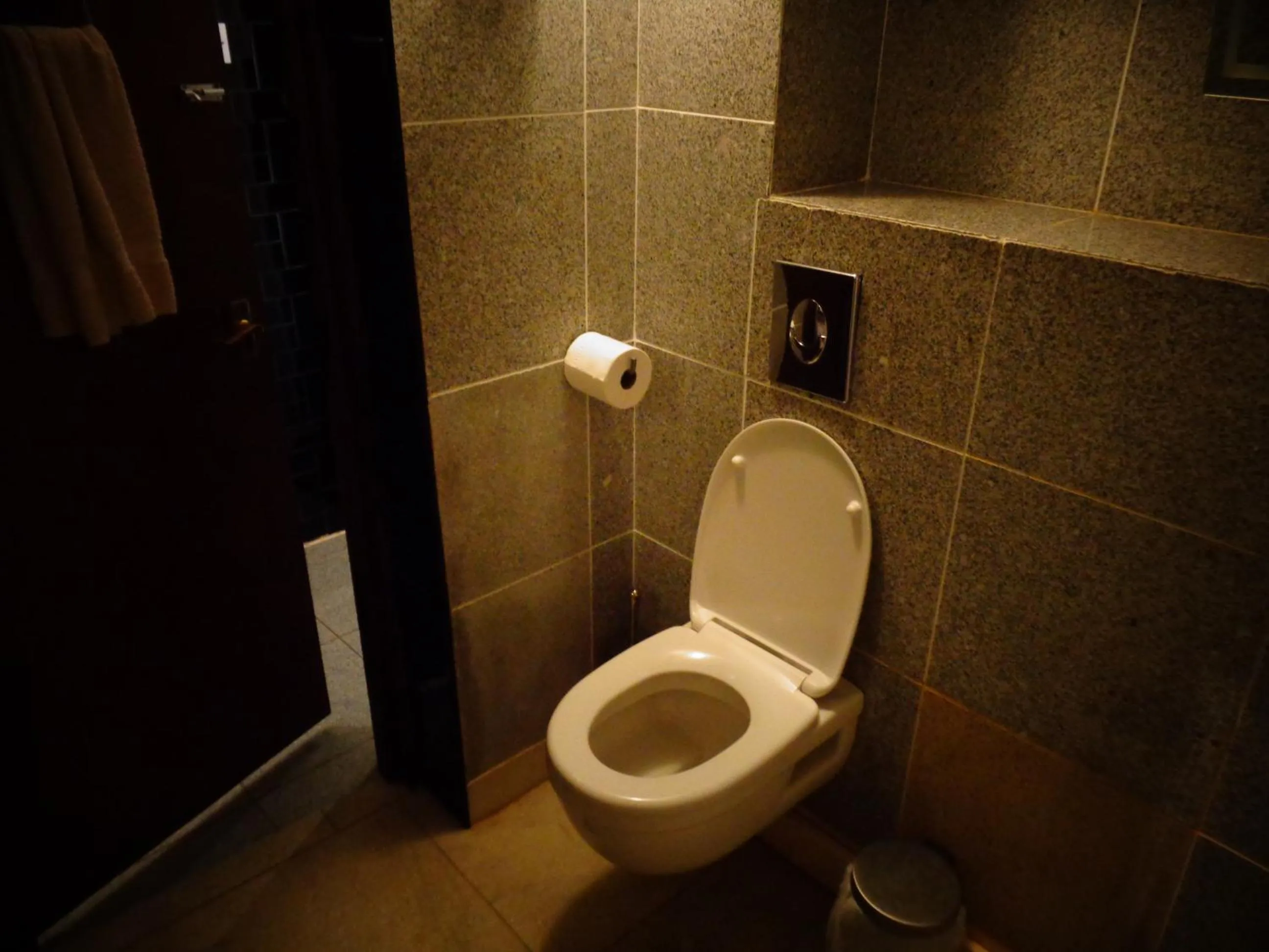 Toilet in Aron Guest House