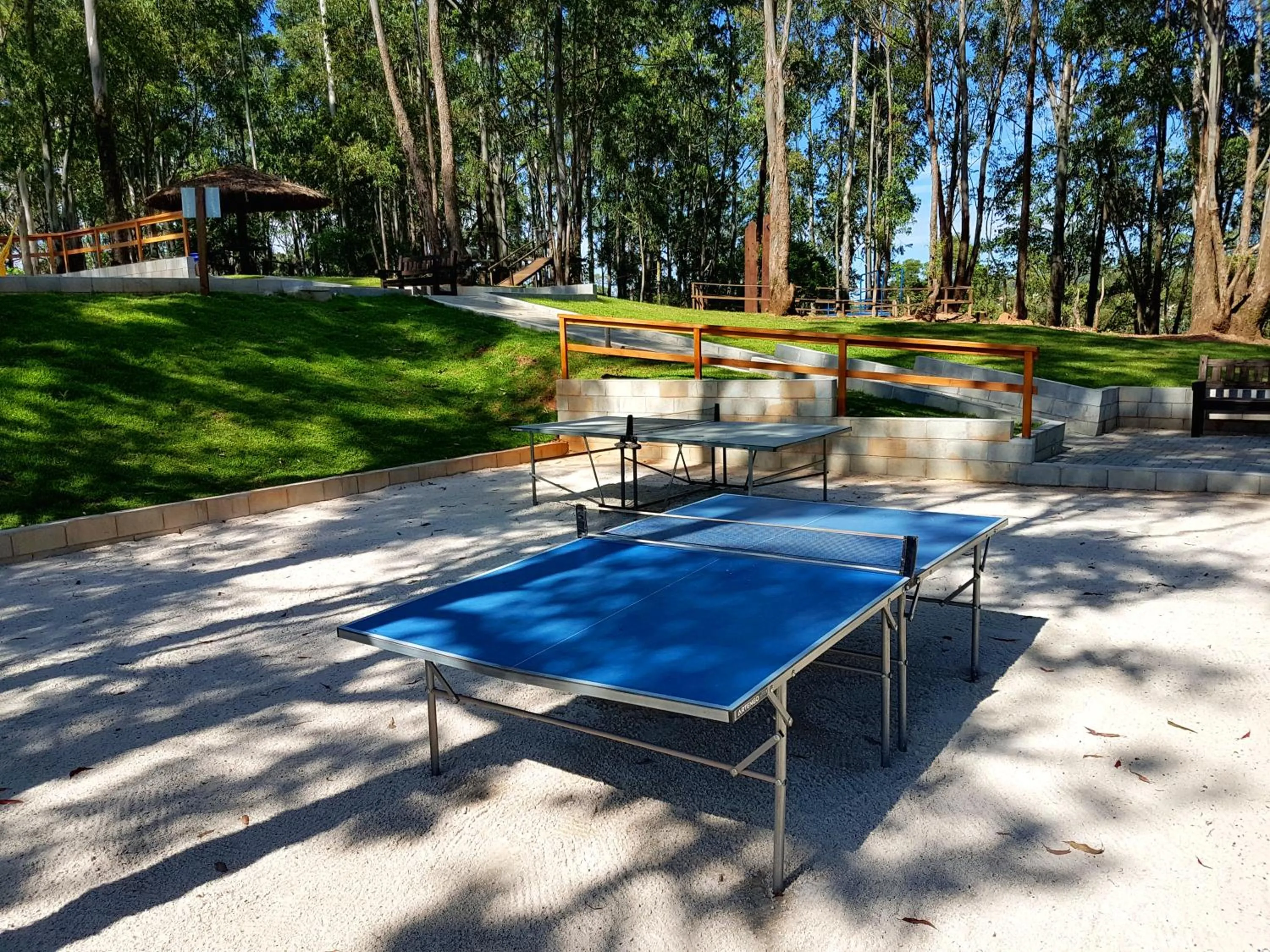 Activities in Hotel Akropolis