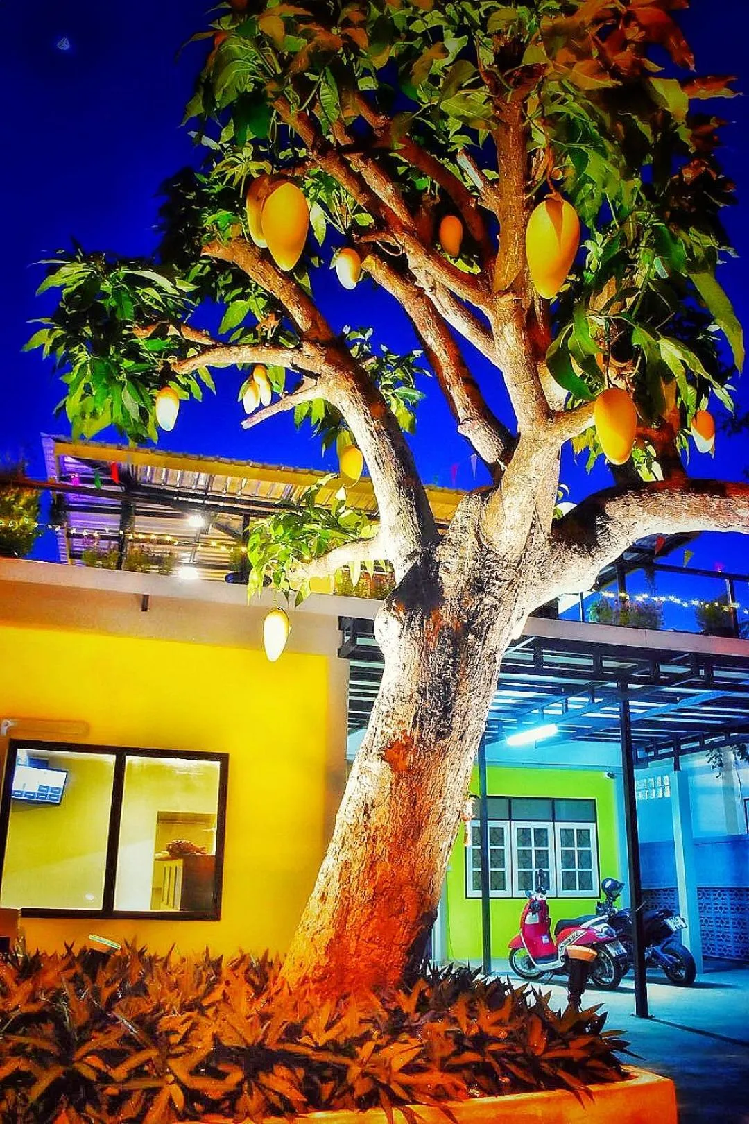 Property building in Mango House Sukhothai