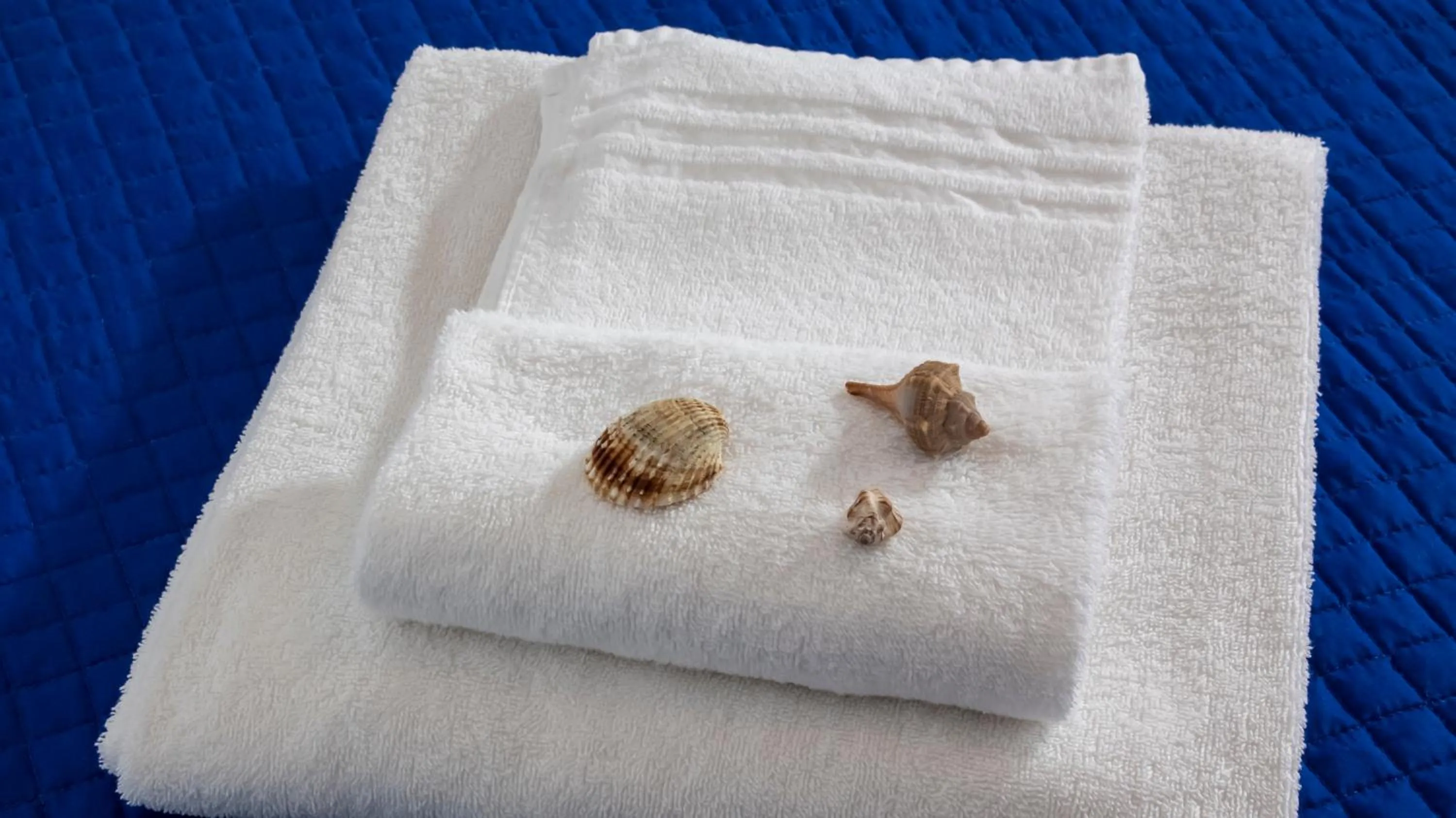 Bedroom in Hotel Plaza con piscina