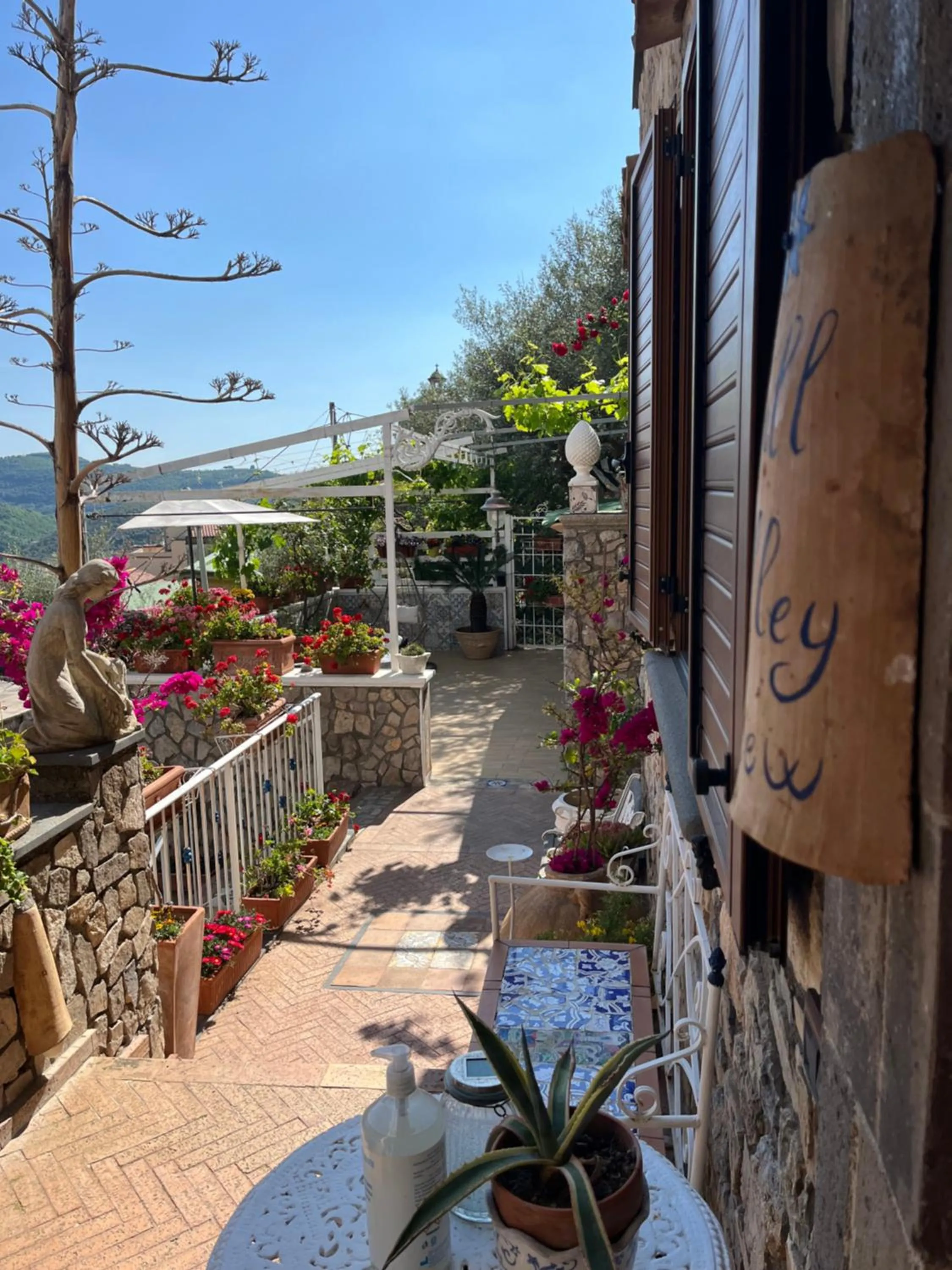 Balcony/Terrace in Hill Valley View