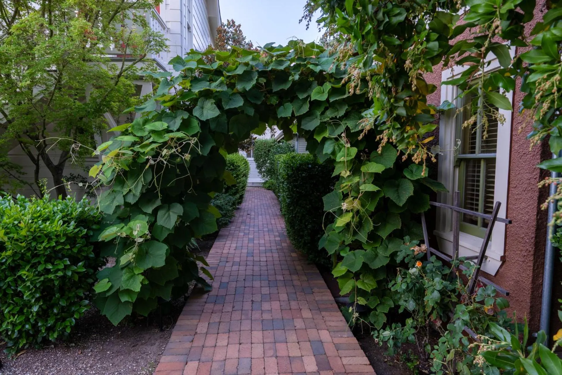 View (from property/room) in Tallman Hotel