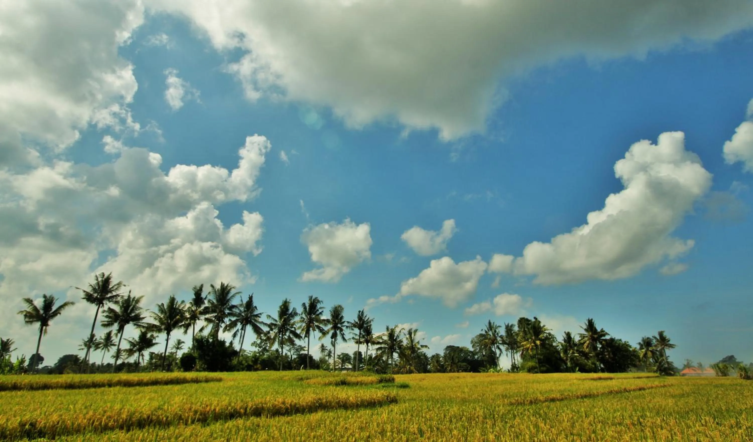 View (from property/room) in Griya Private Villa
