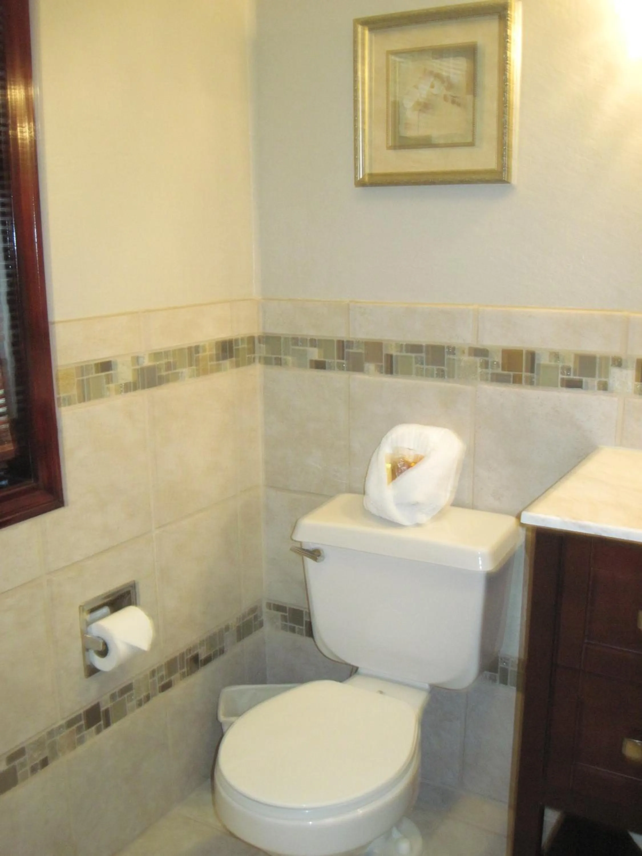 Toilet in The North Shore Inn