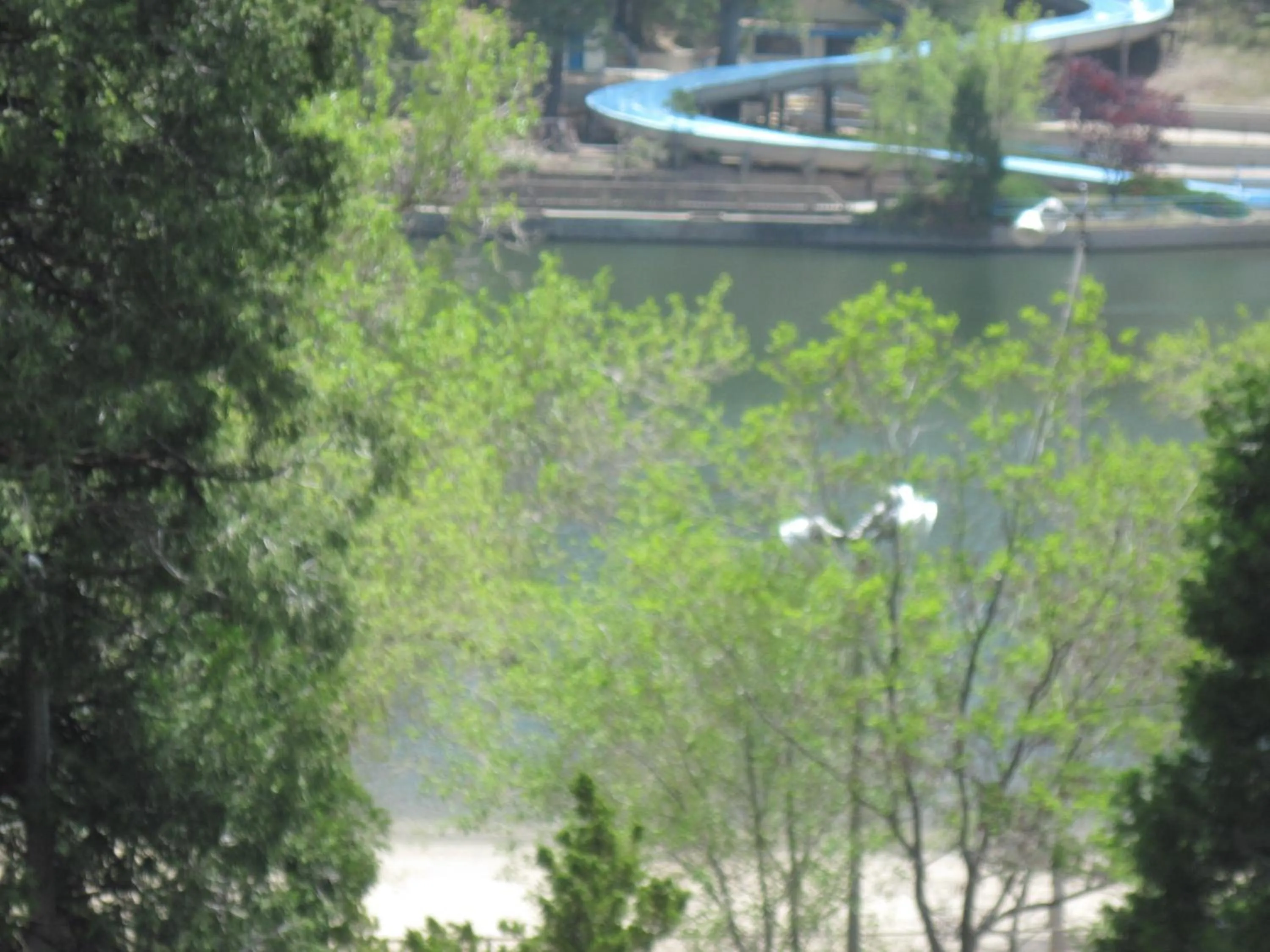 Summer in The North Shore Inn