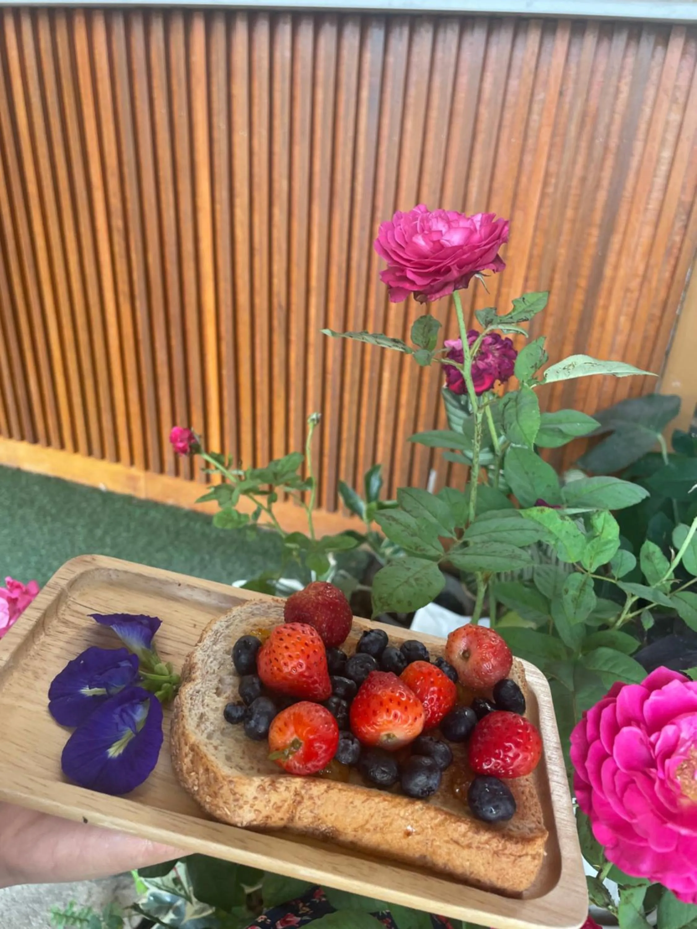 DE ROSE Hotel Chiang Mai