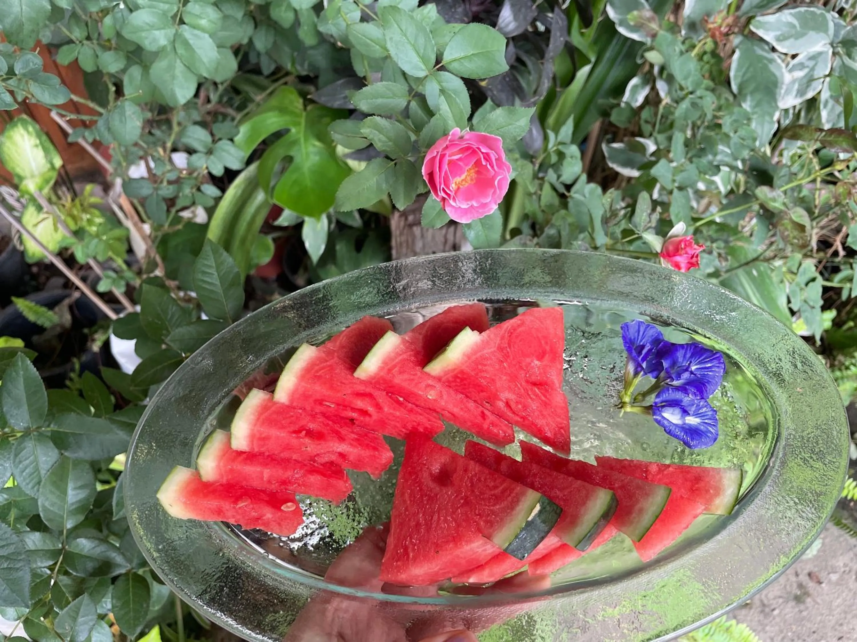 DE ROSE Hotel Chiang Mai