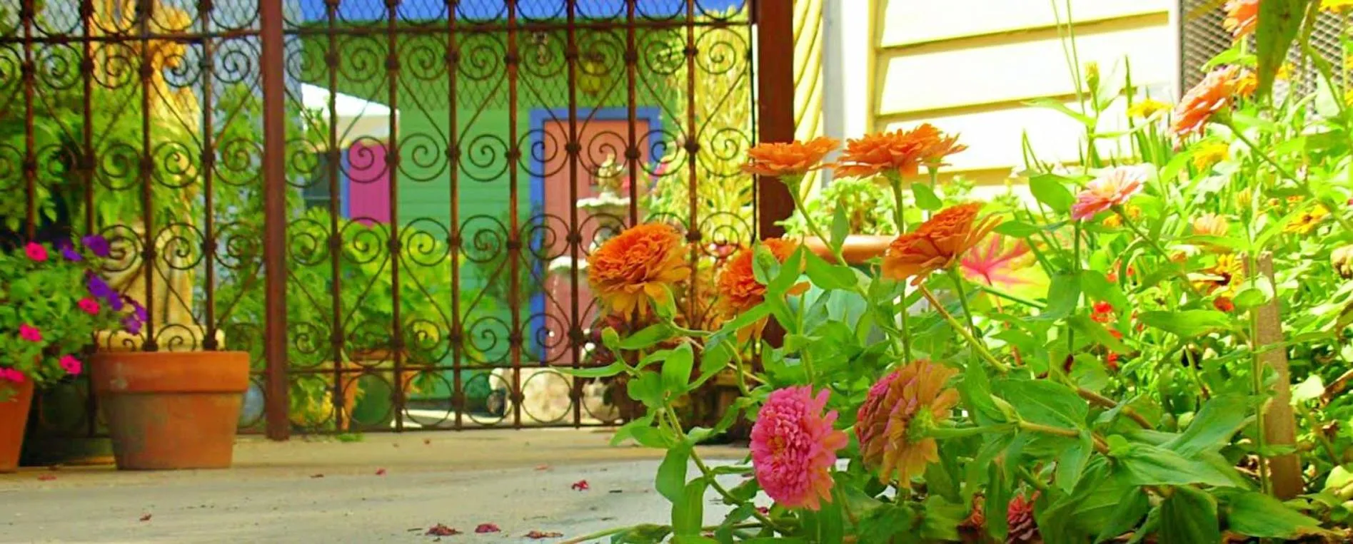 Creole Gardens Guesthouse and Inn