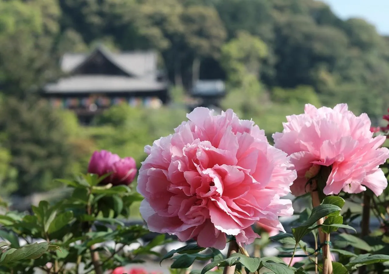Nearby landmark in Kashihara Royal Hotel