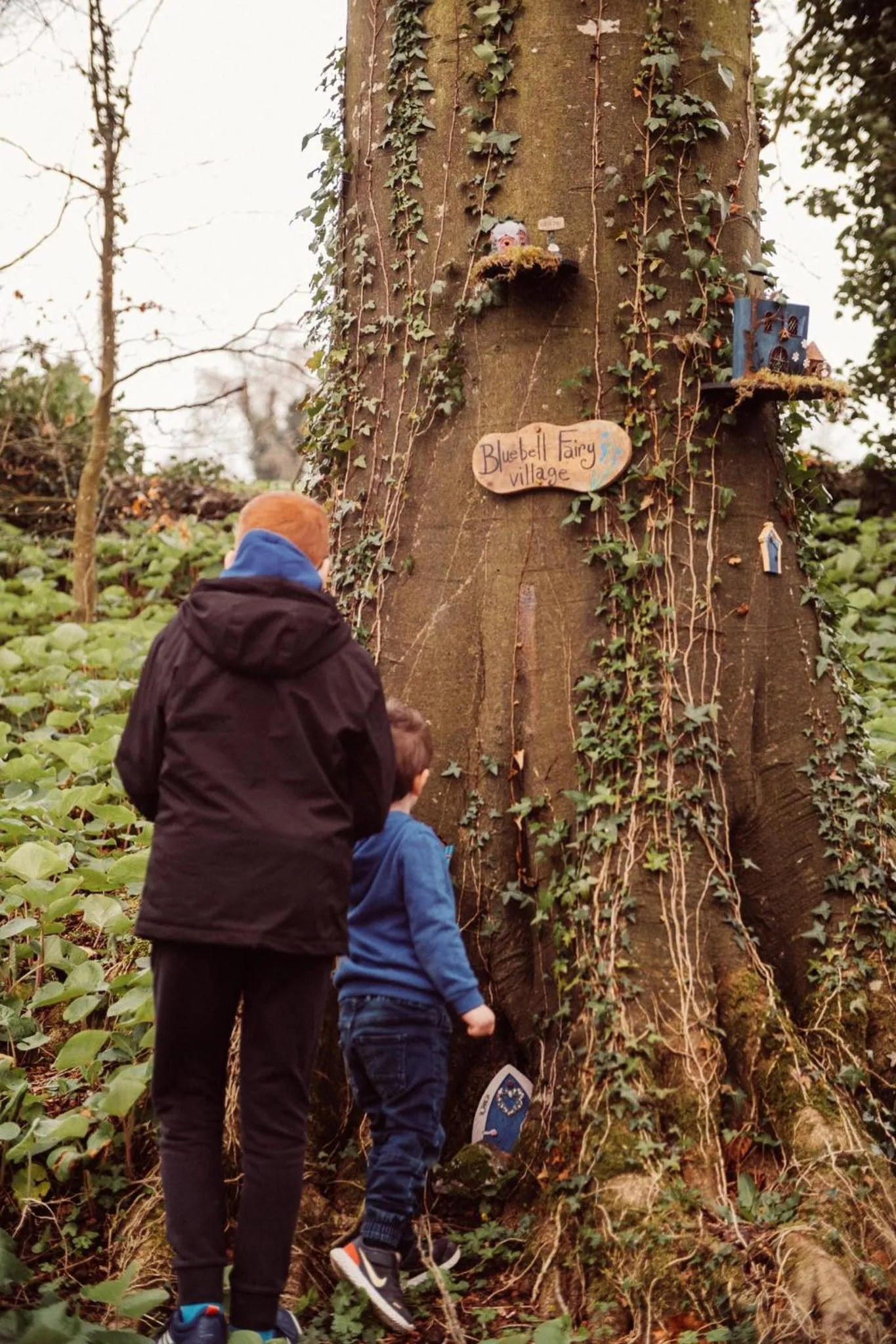 Family in Glasson Lakehouse