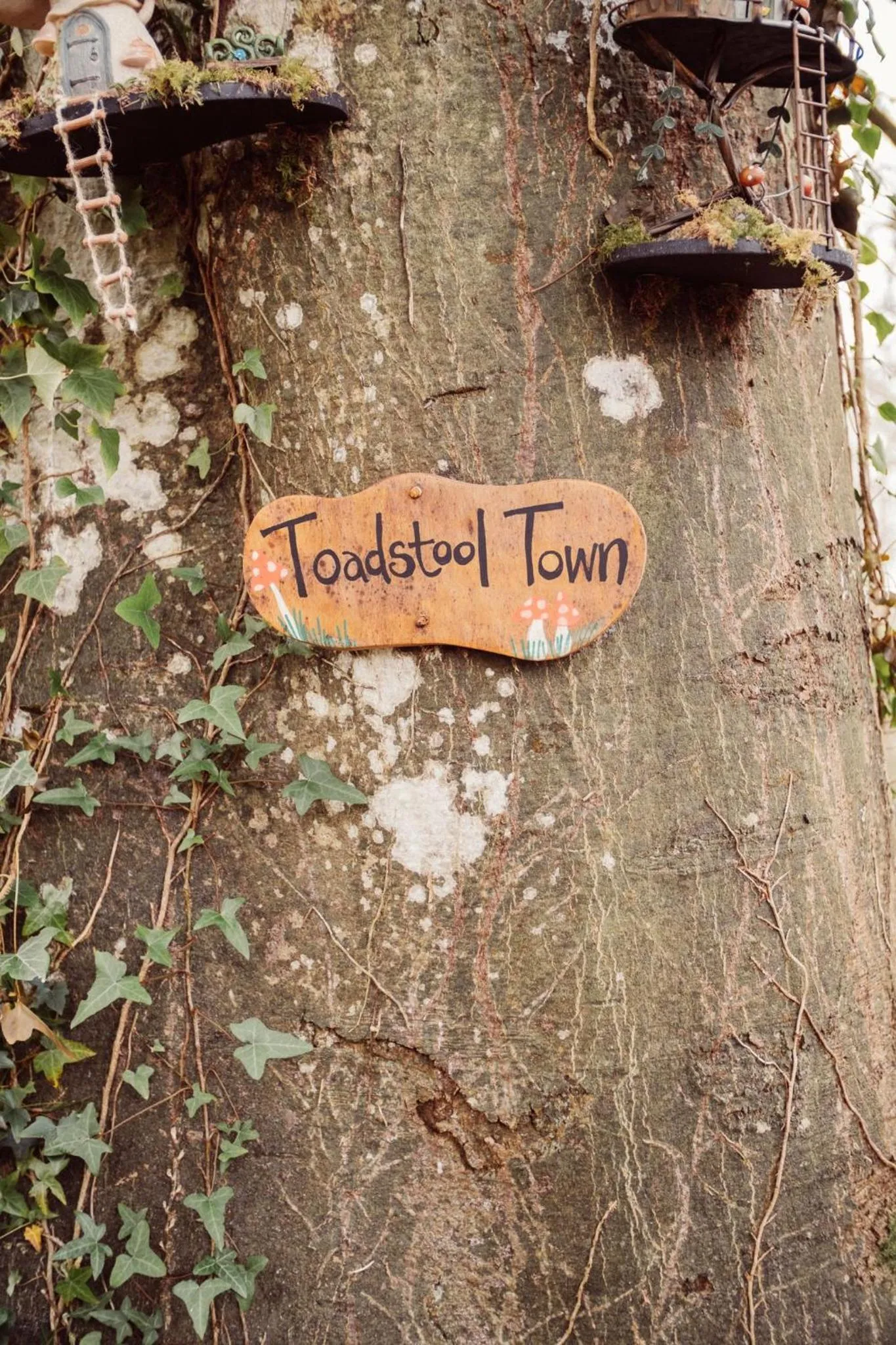 Activities in Glasson Lakehouse