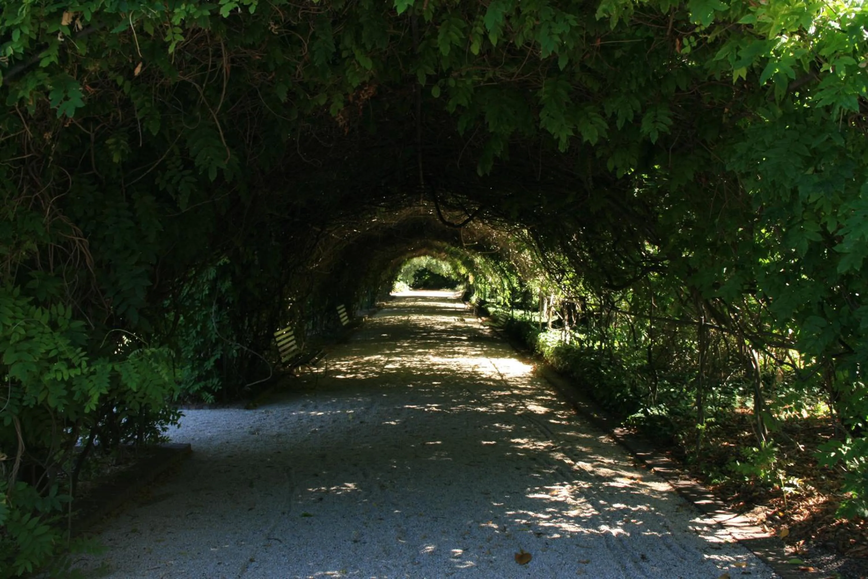 Garden in Levi Adelaide Holiday Park