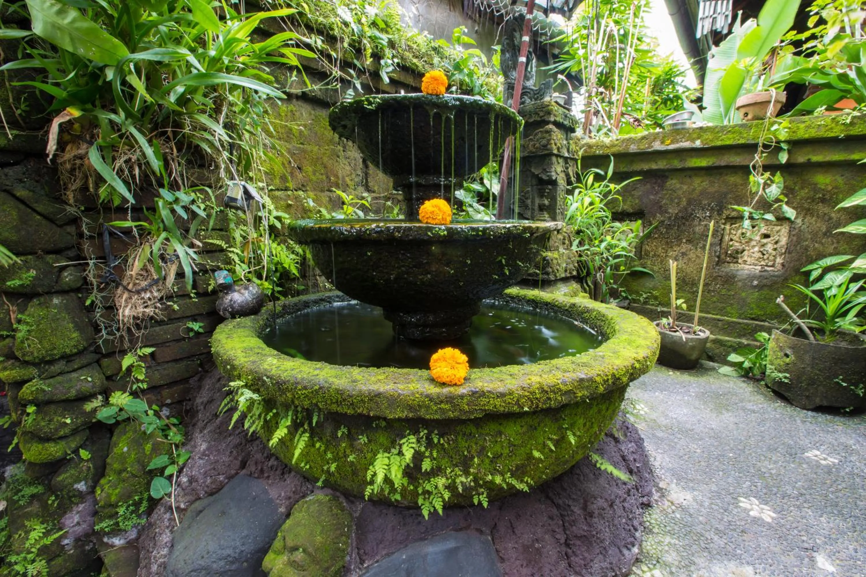 Property building in Pondok Permata Homestay