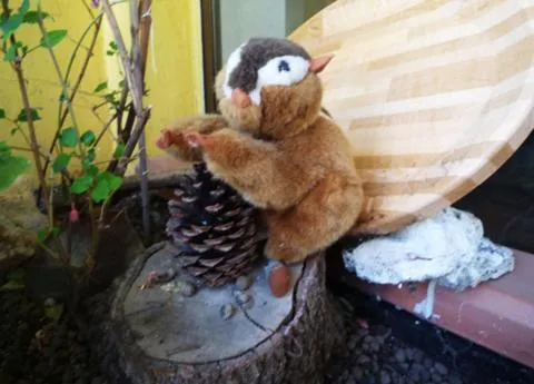 Restaurant/places to eat in Lo Scoiattolo