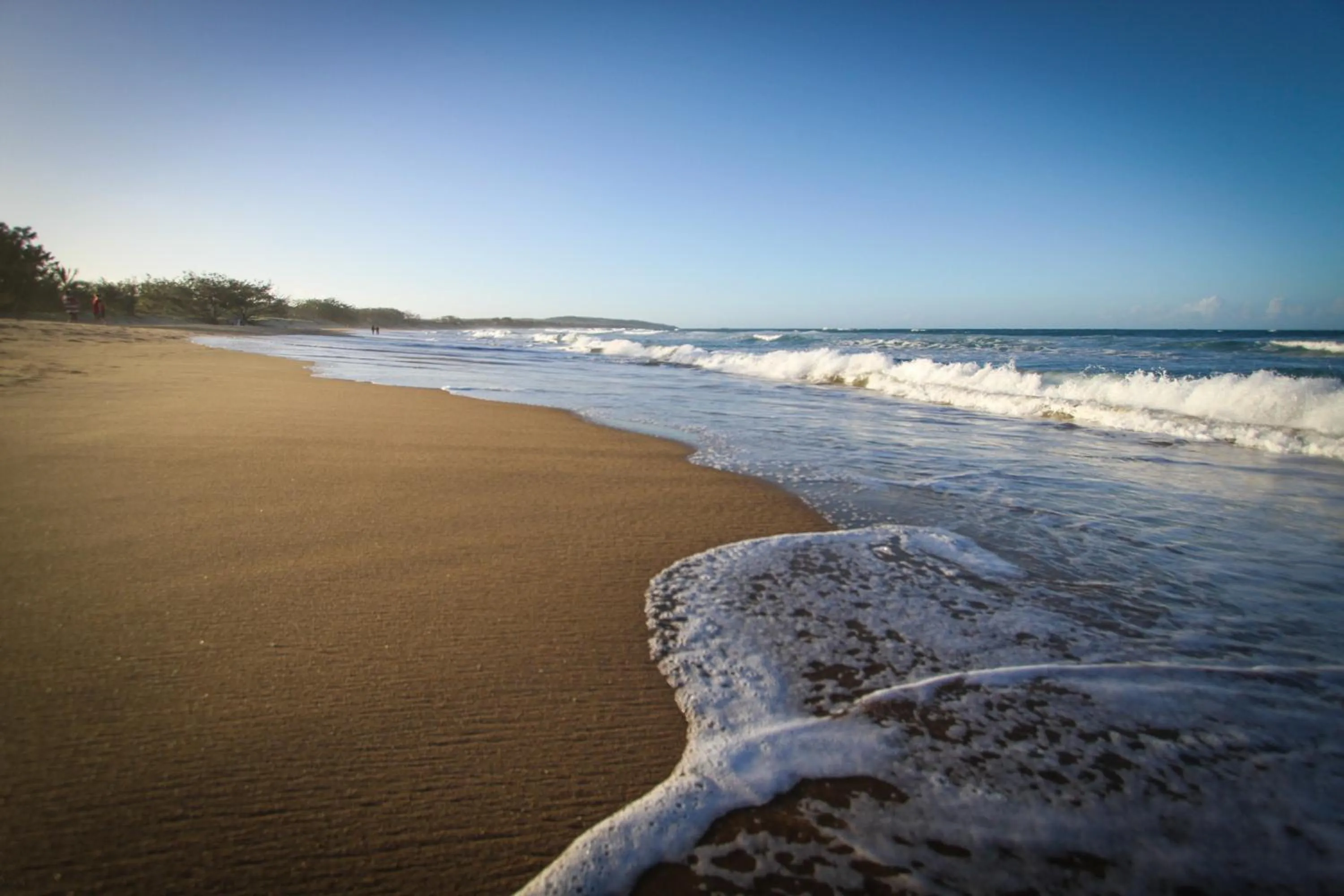 Area and facilities in Sandcastles 1770 Motel & Resort