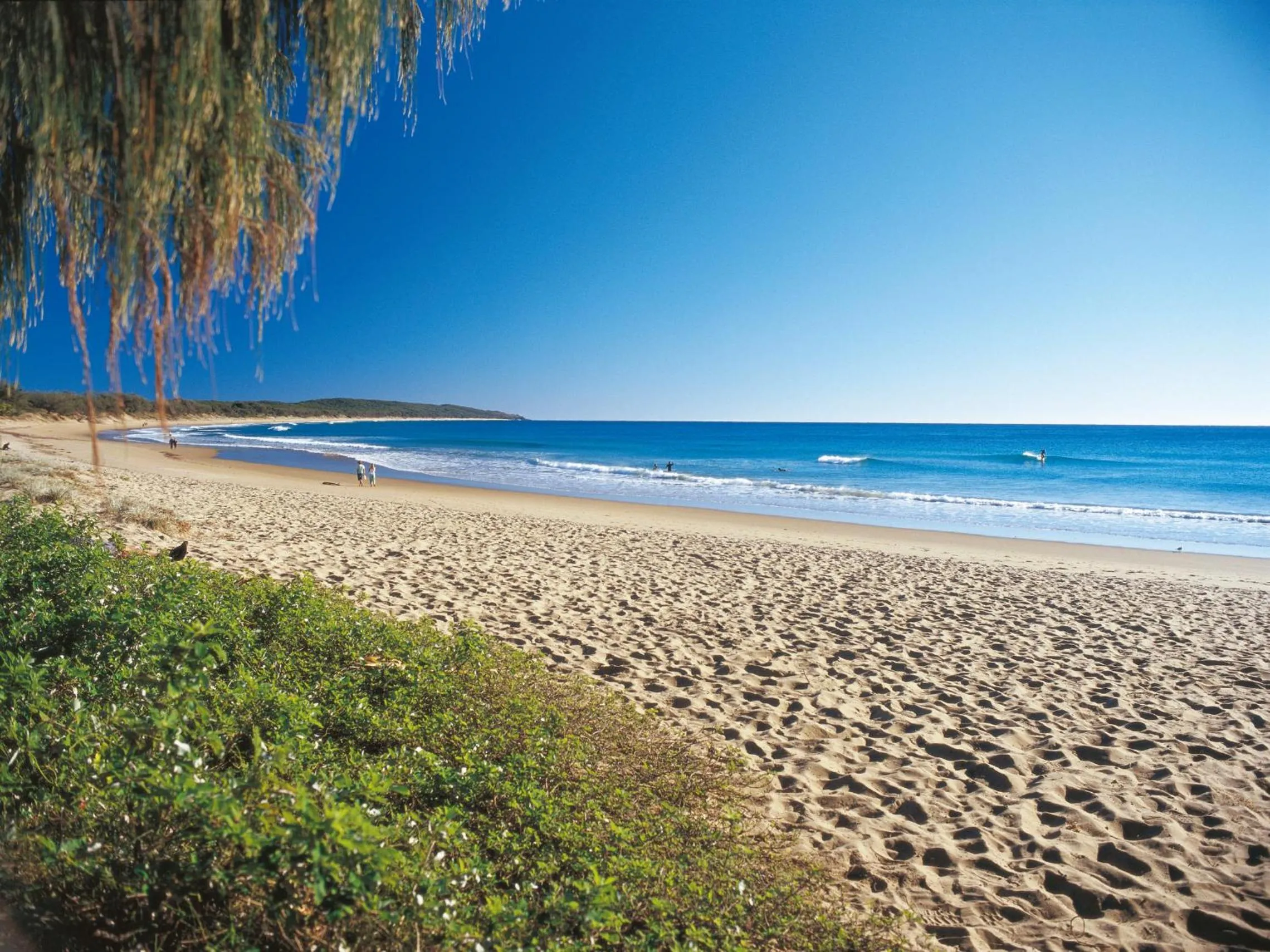 Beach in Sandcastles 1770 Motel & Resort