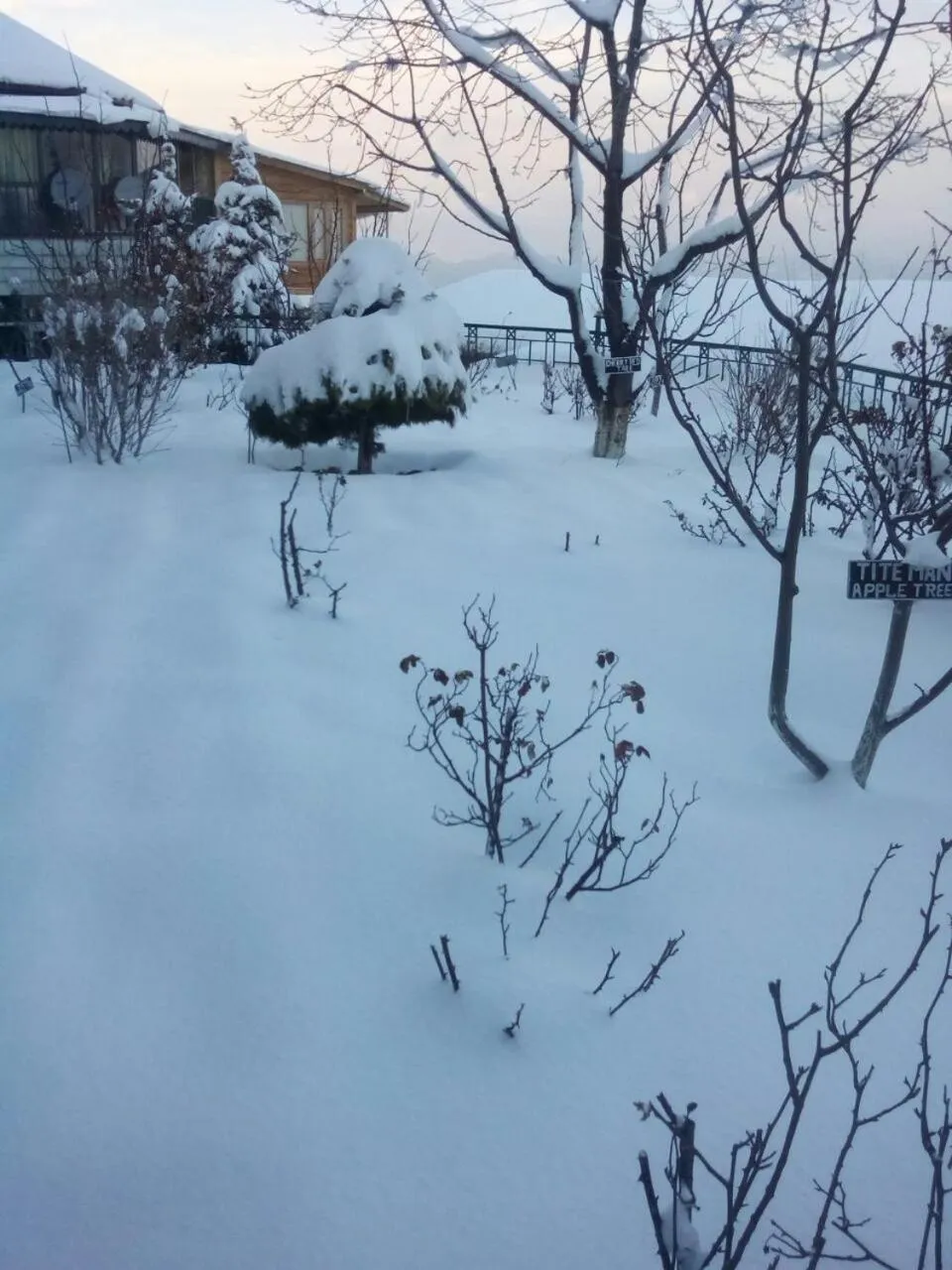 Day in Snow King Retreat - The Heaven