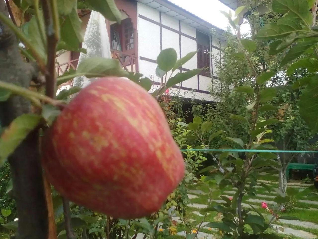 Garden in Snow King Retreat - The Heaven