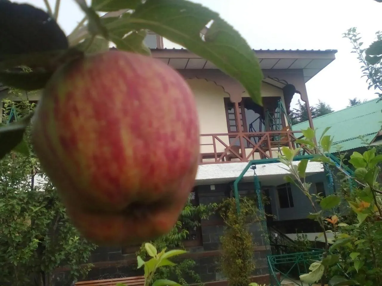 Garden in Snow King Retreat - The Heaven