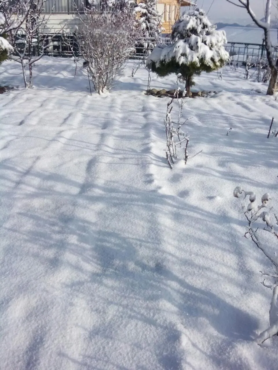 Day in Snow King Retreat - The Heaven