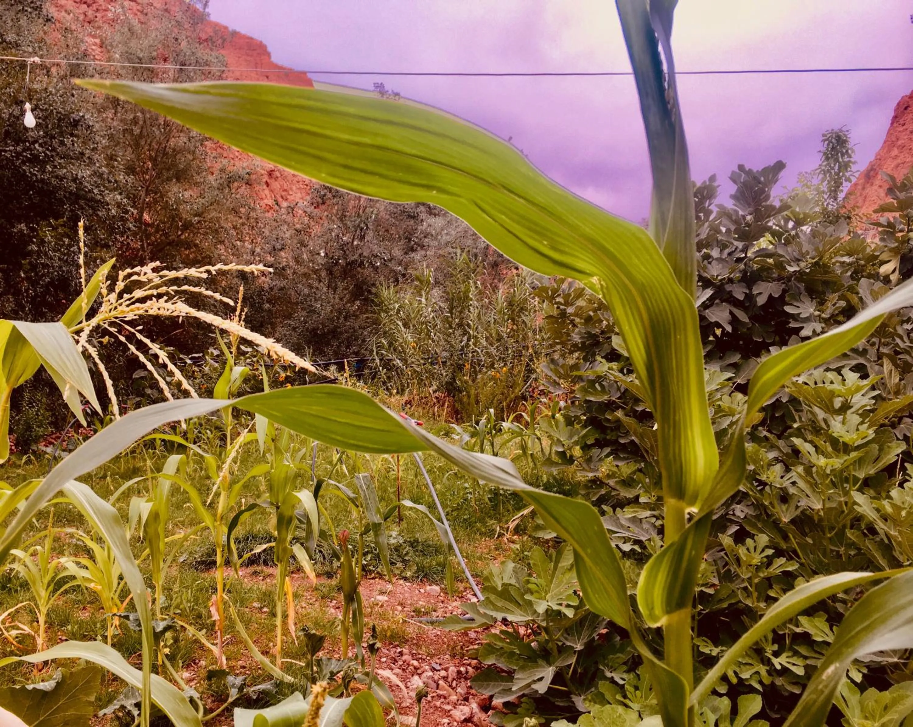 Hôtel panoramique de la vallée