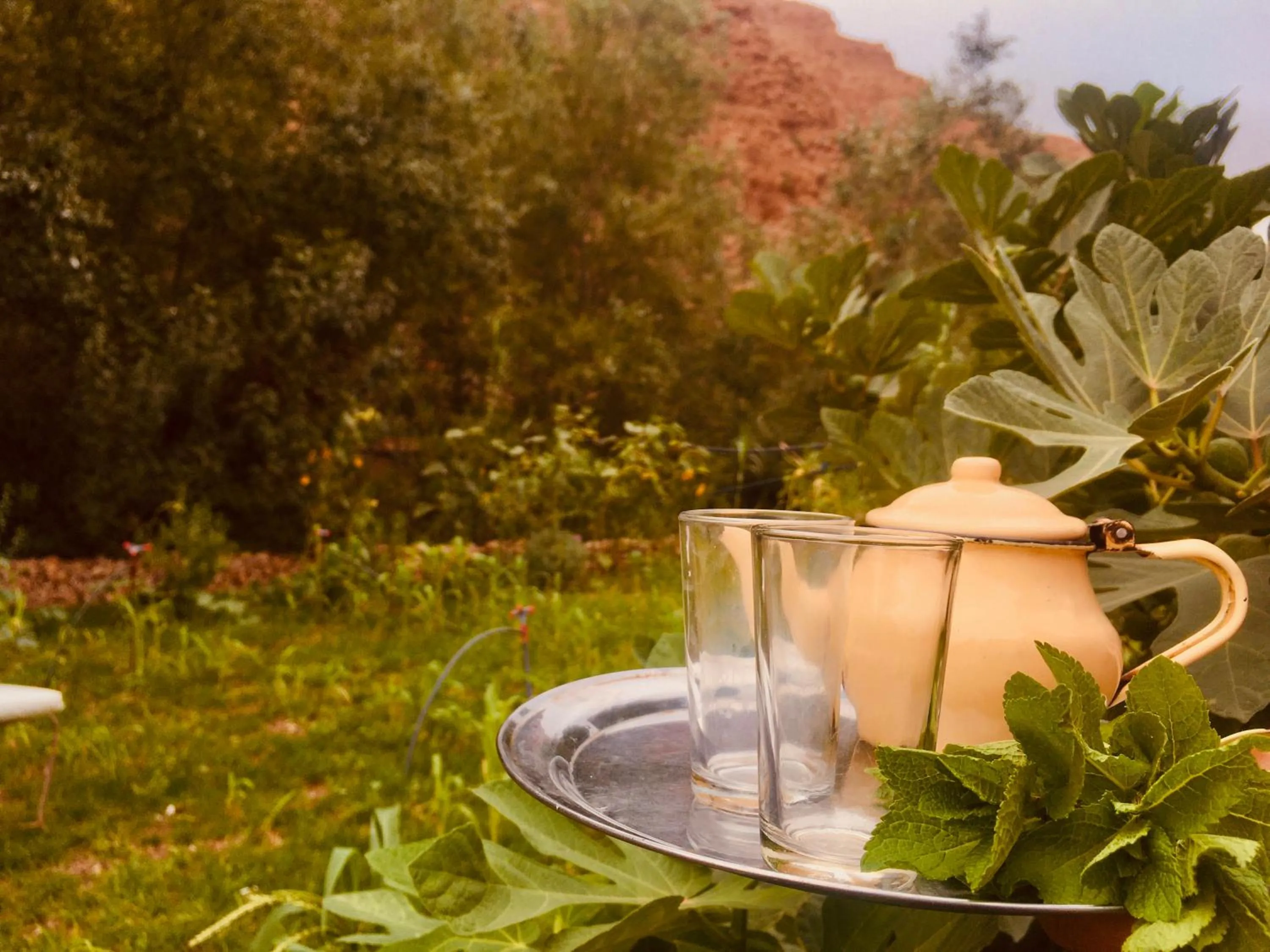 Drinks in Hôtel panoramique de la vallée
