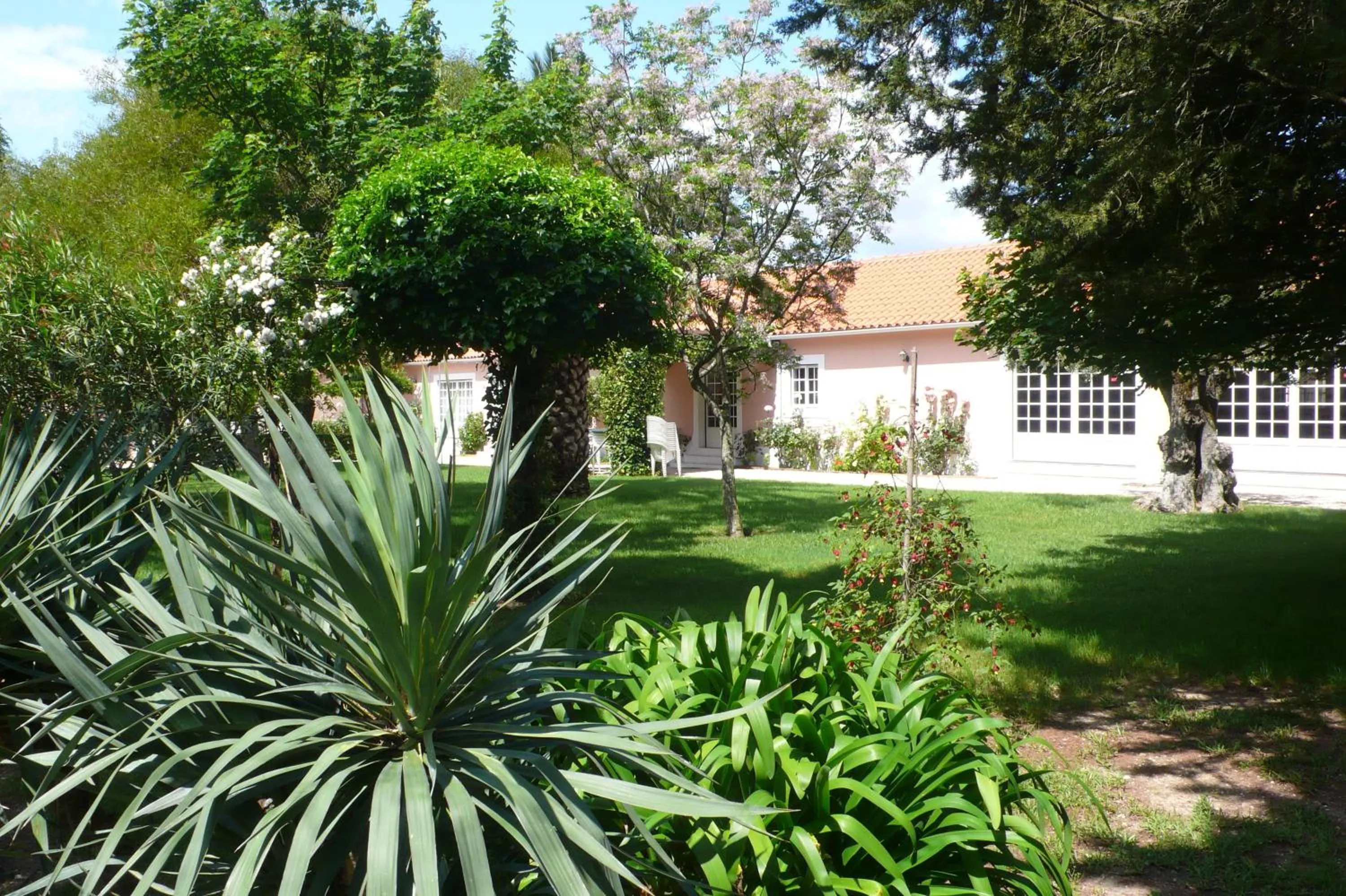 Garden in Casa Da Avo Genoveva