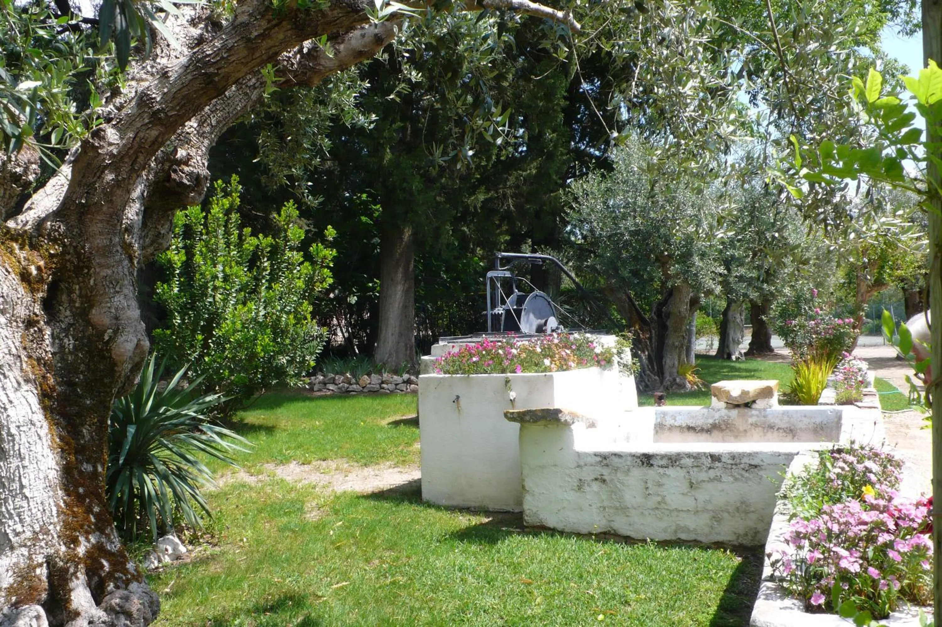 Garden in Casa Da Avo Genoveva