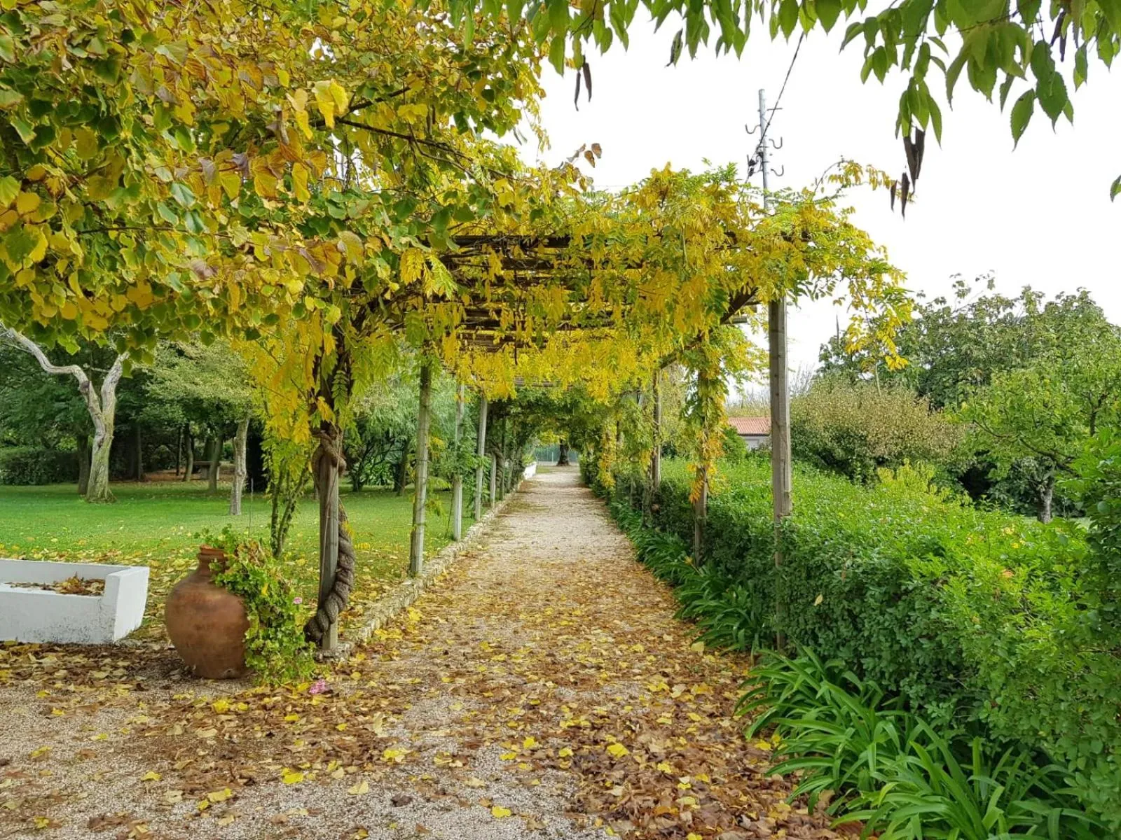 Garden in Casa Da Avo Genoveva