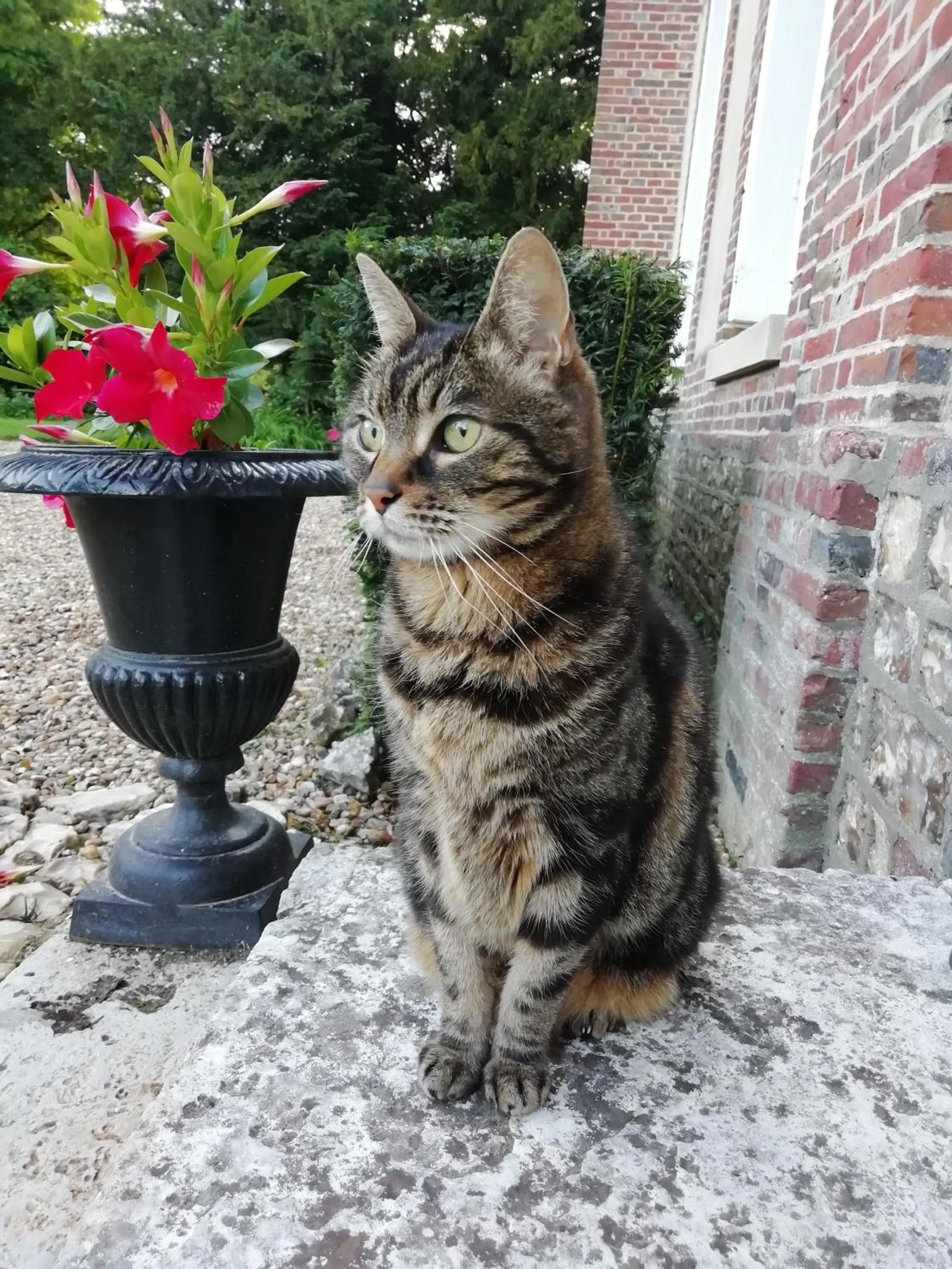 Château de Cleuville