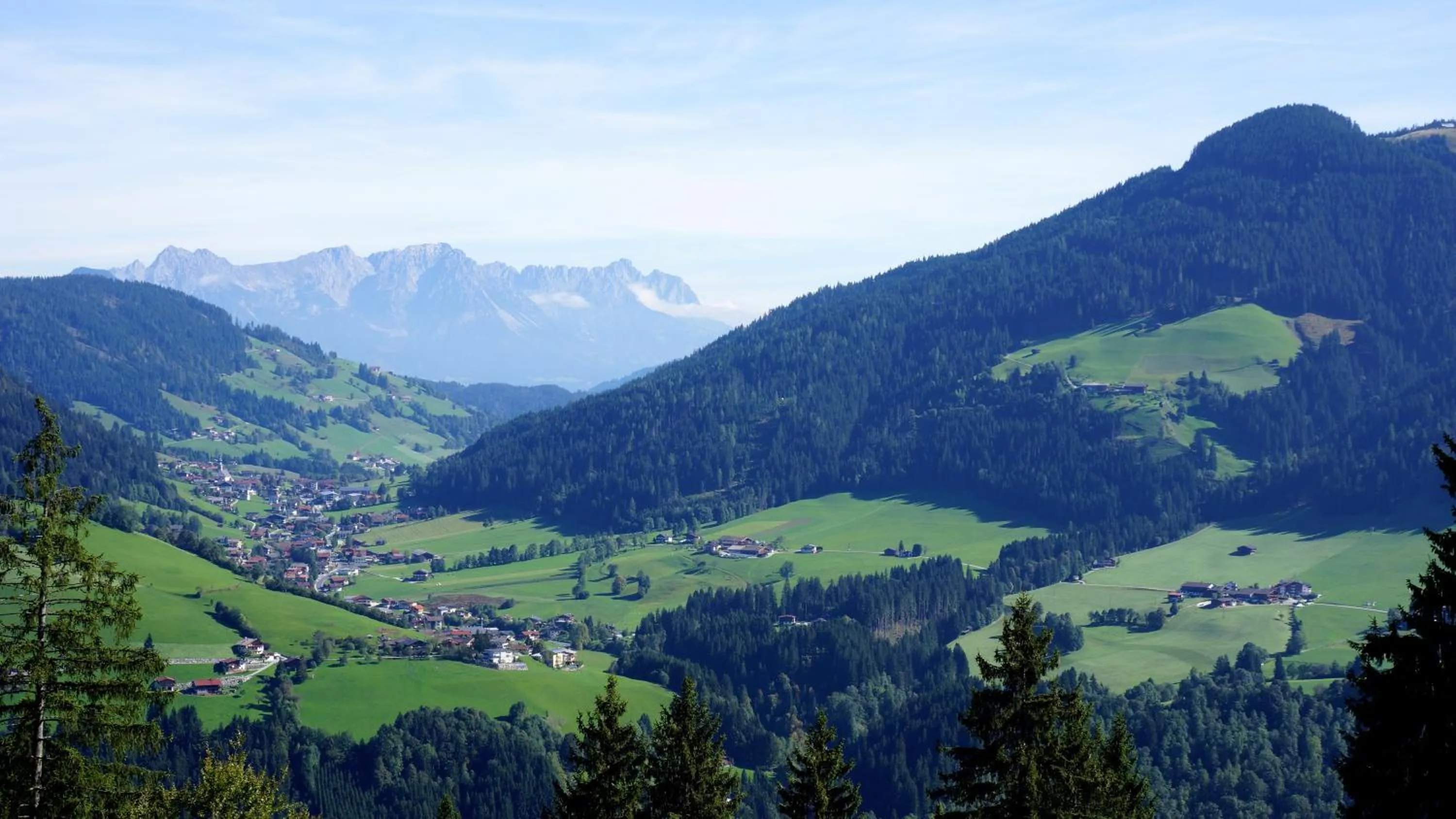 View (from property/room) in Gasthof Almhof