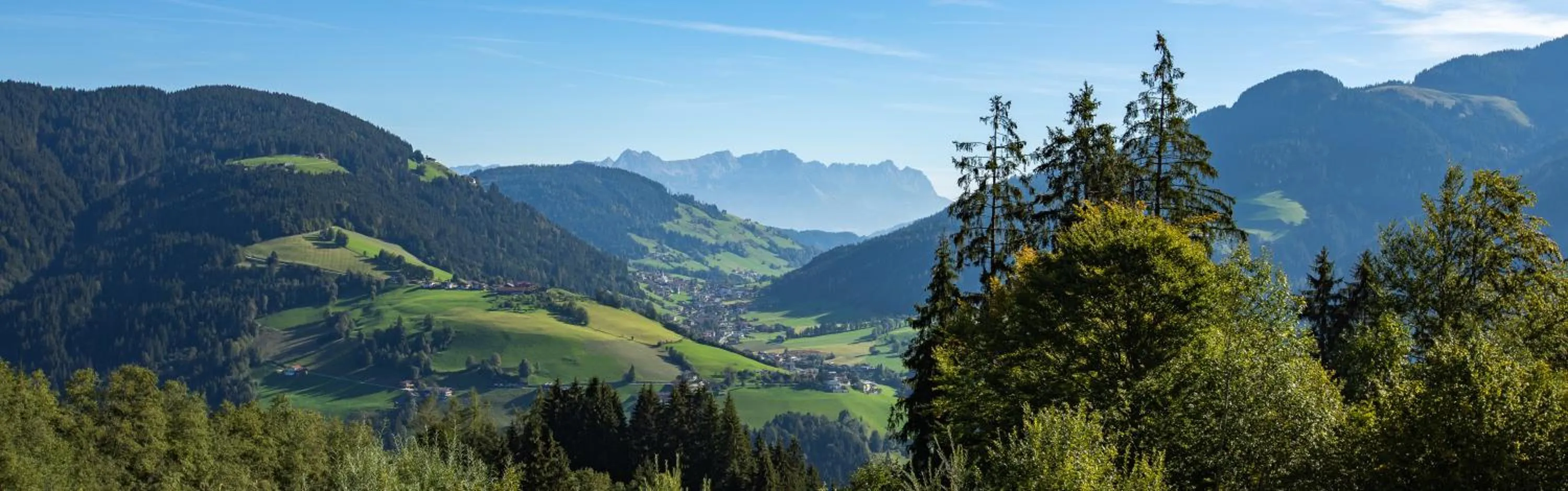 Natural landscape in Gasthof Almhof