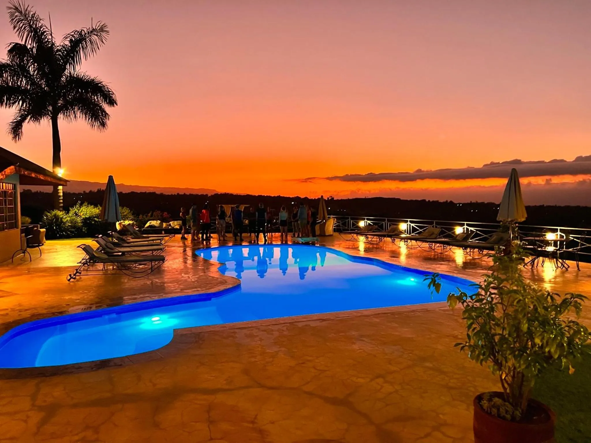 Pink Flamingo Boutique Hotel