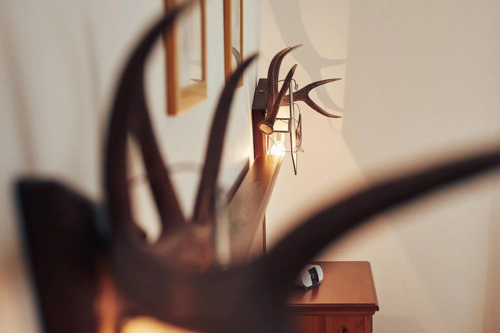 Decorative detail in FETZ DAS LORELEY HOTEL