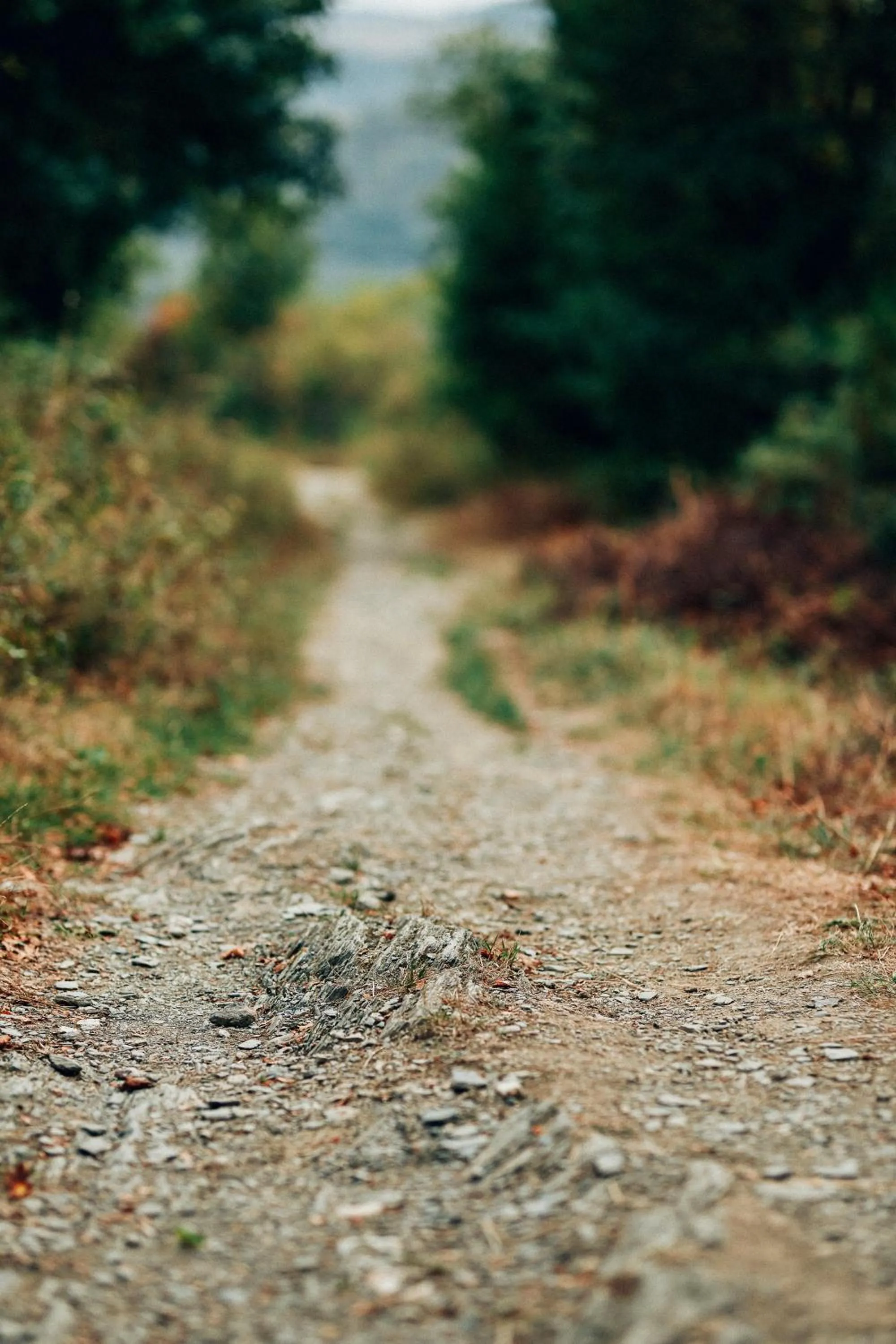 Natural landscape in FETZ DAS LORELEY HOTEL
