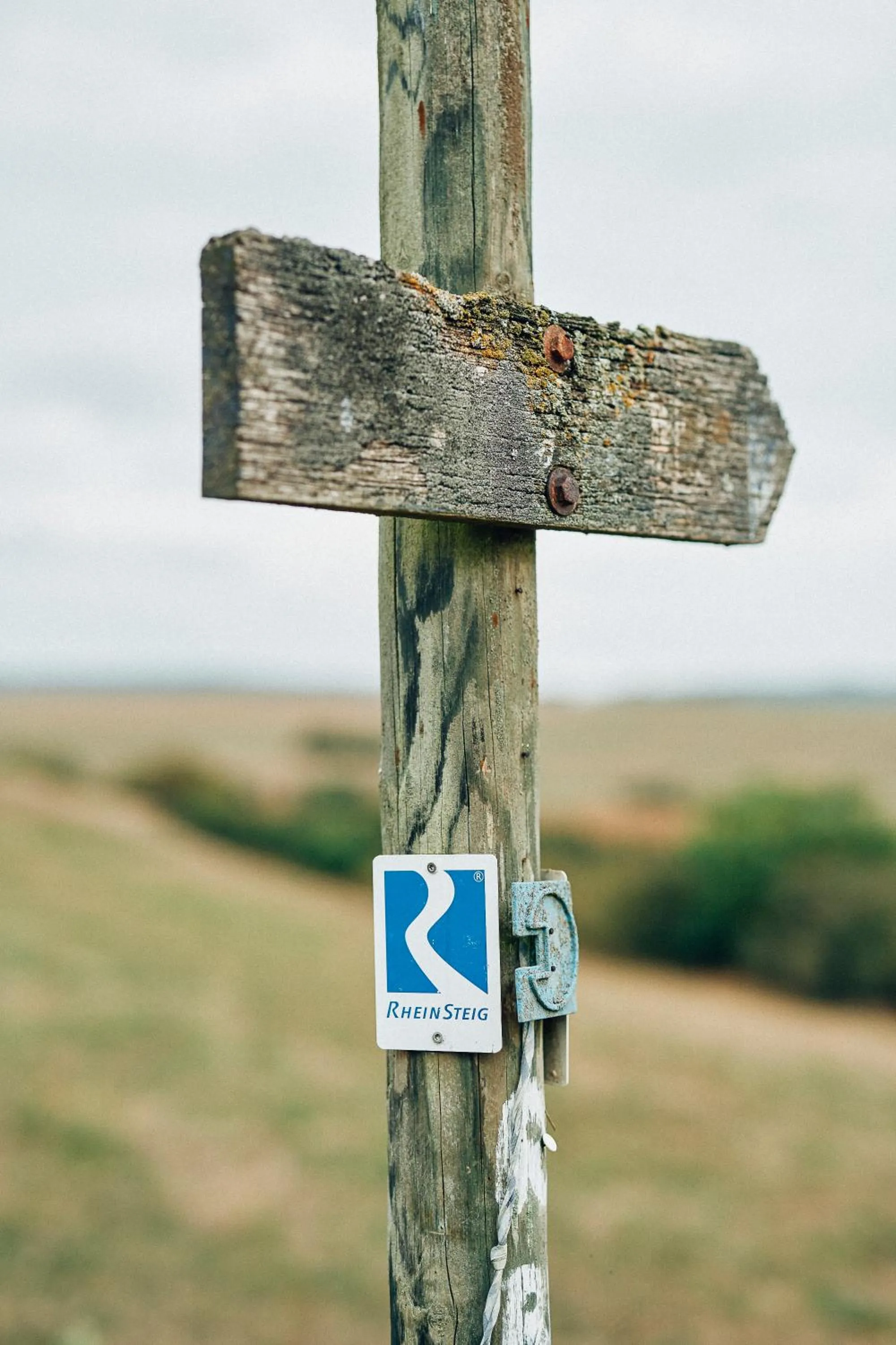 Day in FETZ DAS LORELEY HOTEL