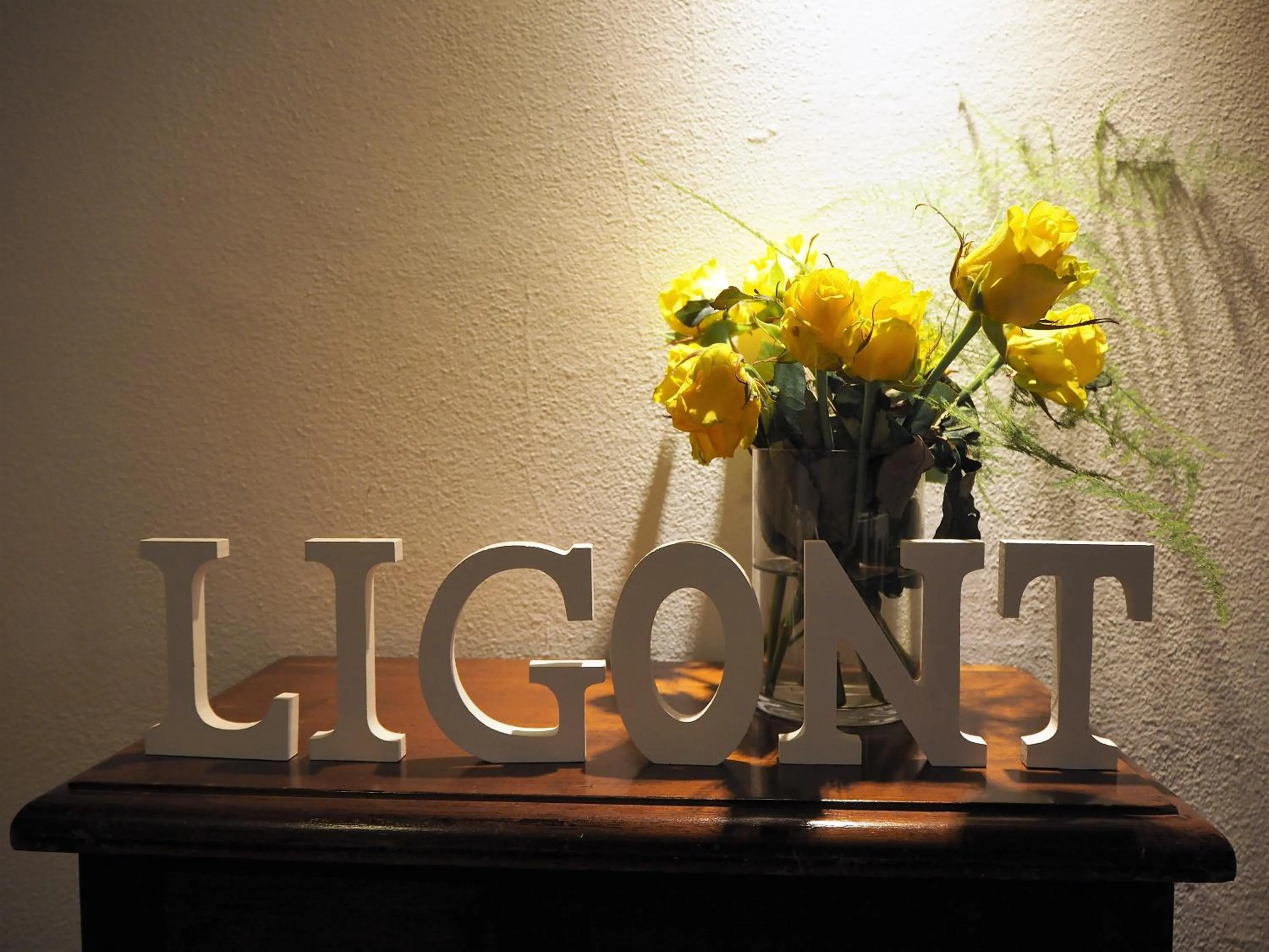 Property logo or sign in Bed & Breakfast Ligont