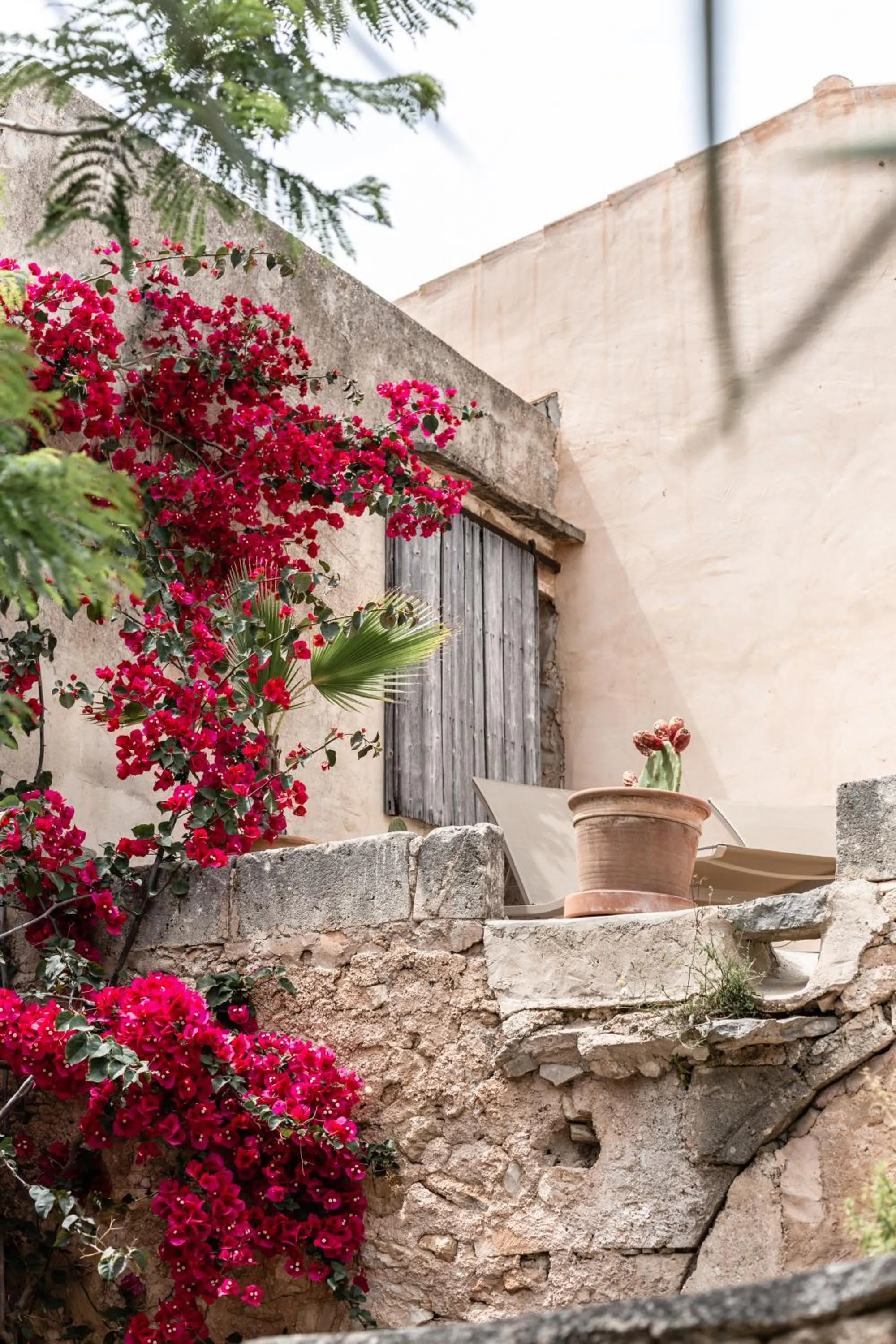 Property building in Can Sull