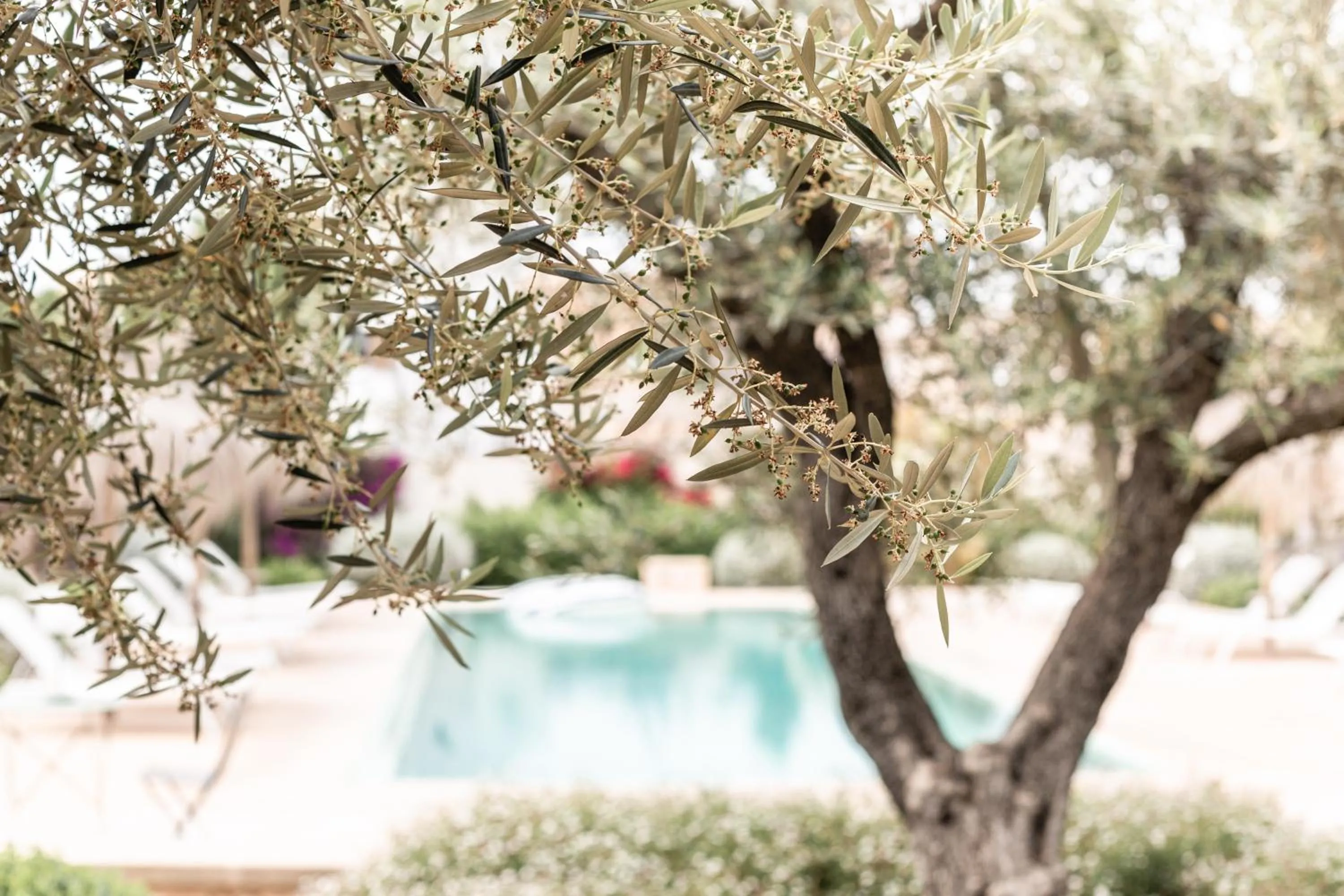 Garden view in Can Sull