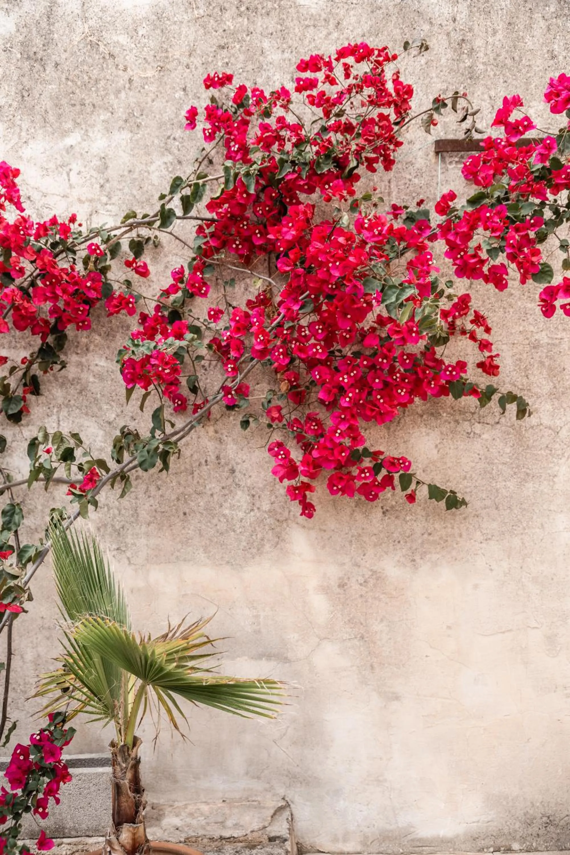 Property building in Can Sull