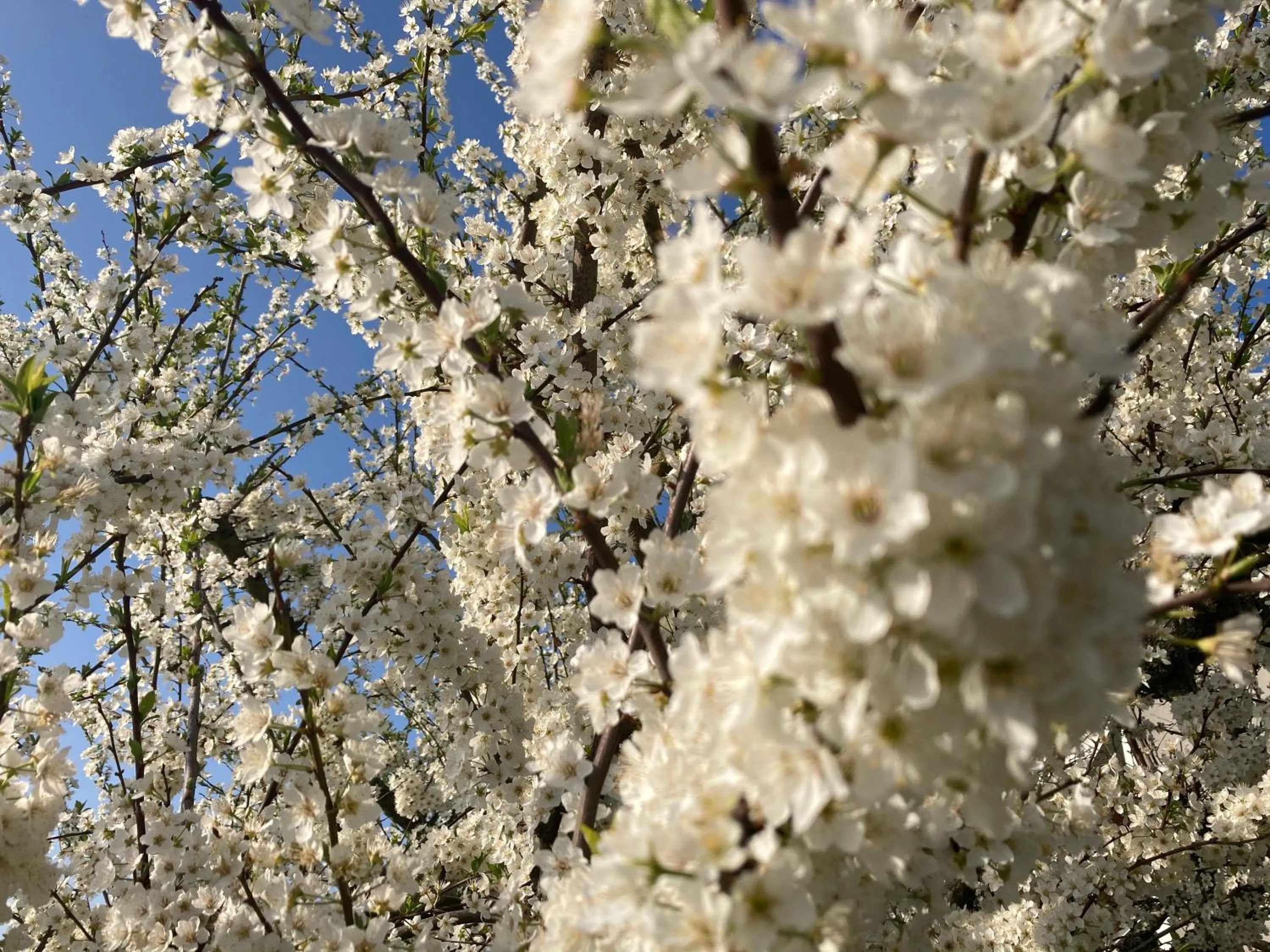 Other in Alfazema Sunset House