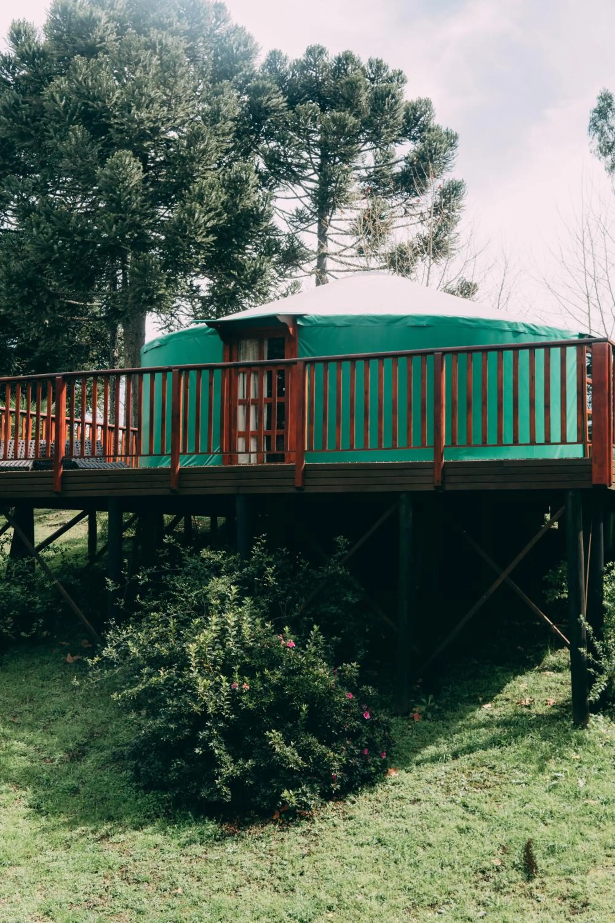 Glamping montain experience