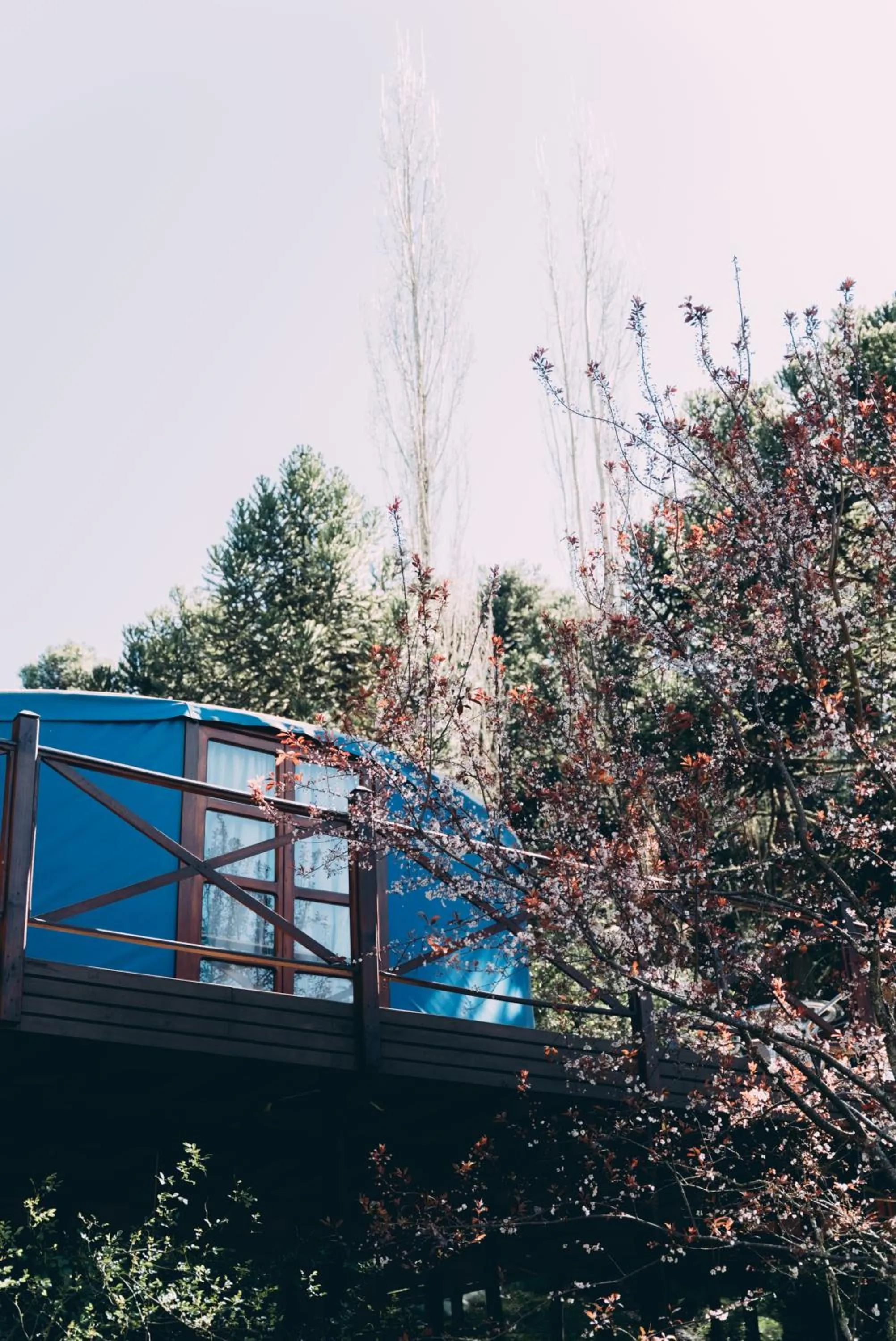 Glamping montain experience