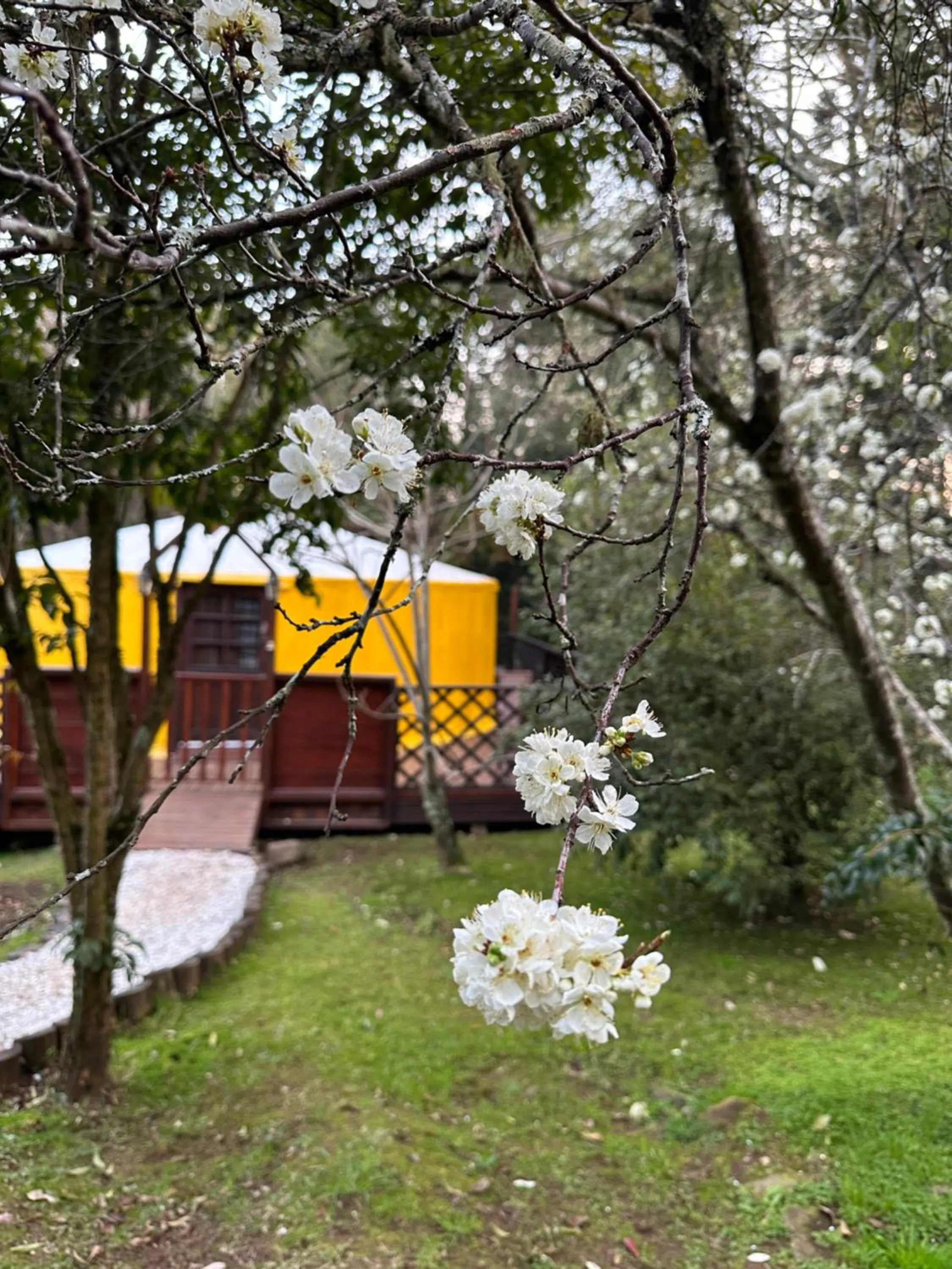 Glamping montain experience