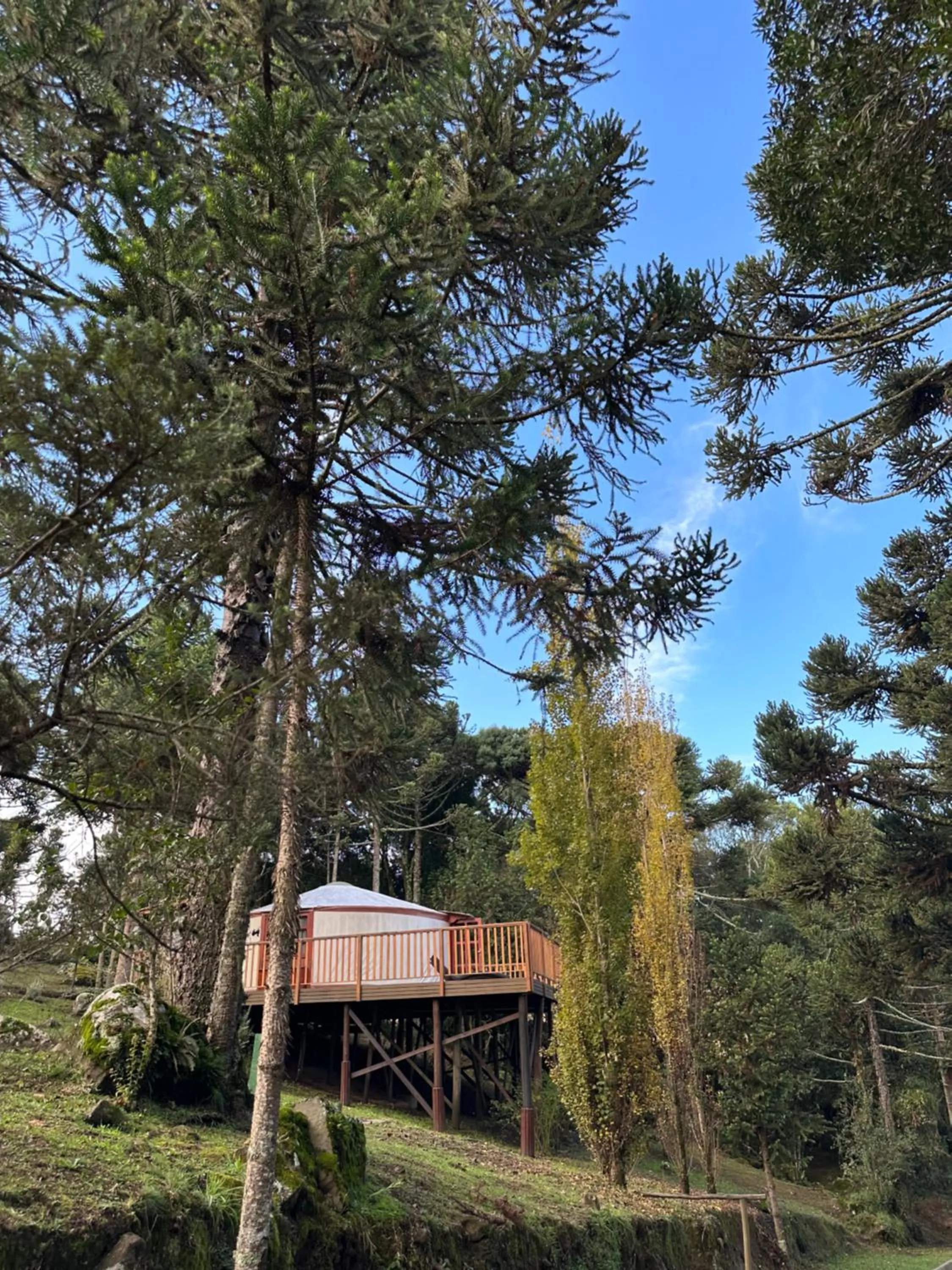 Glamping montain experience