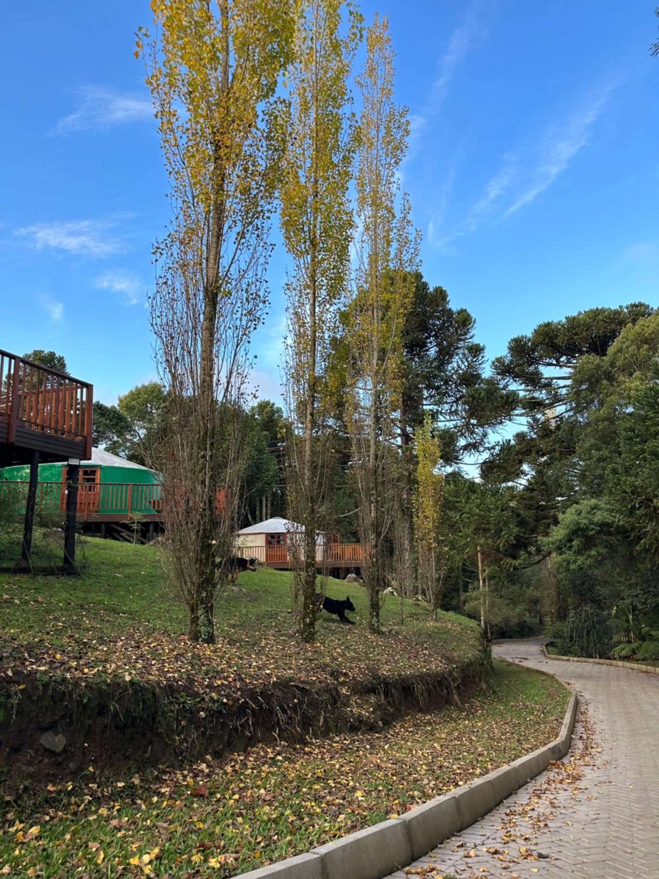 Glamping montain experience